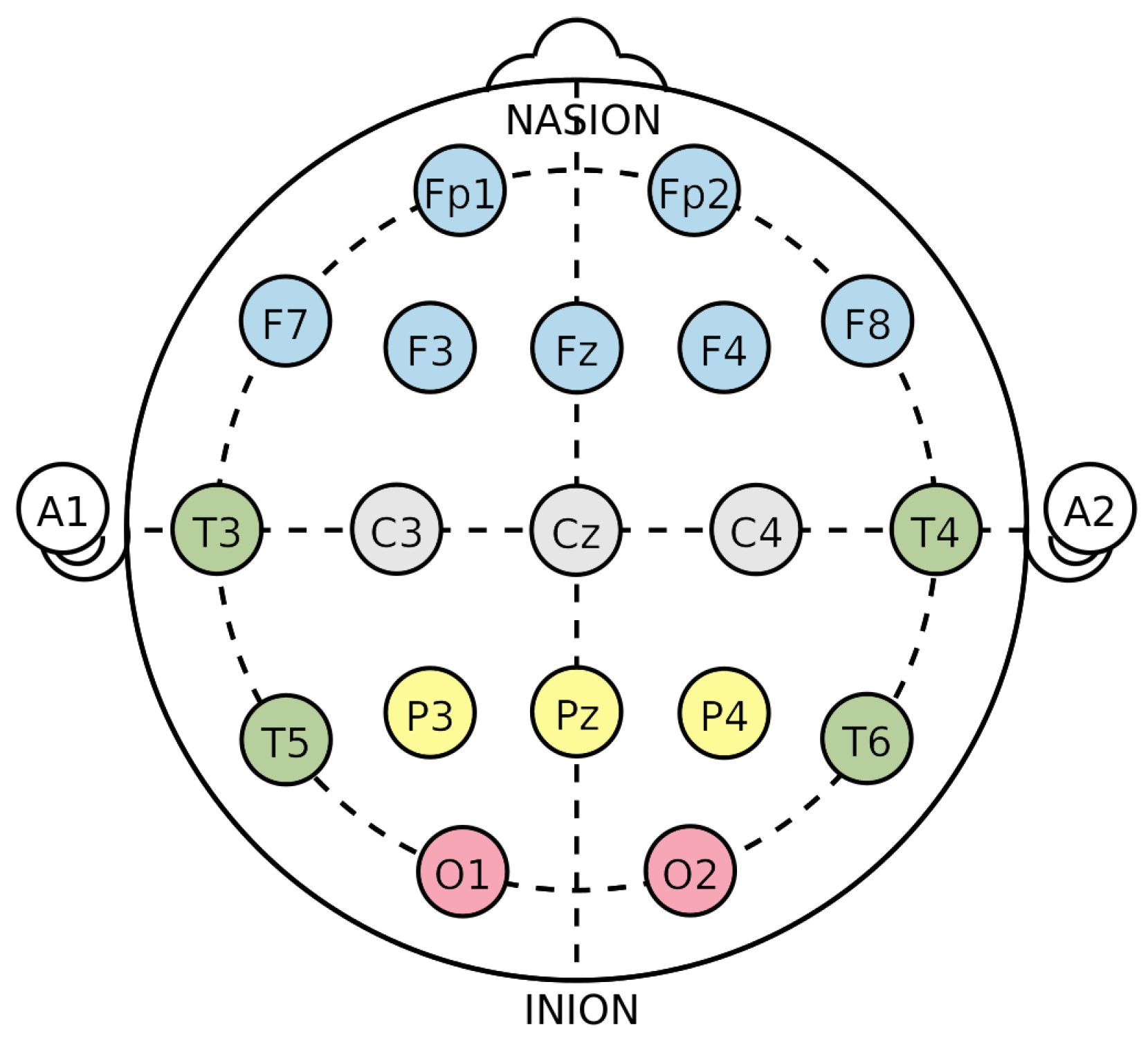 Sensors | Free Full-Text | EEG-Based BCIs on Motor Imagery Paradigm ...