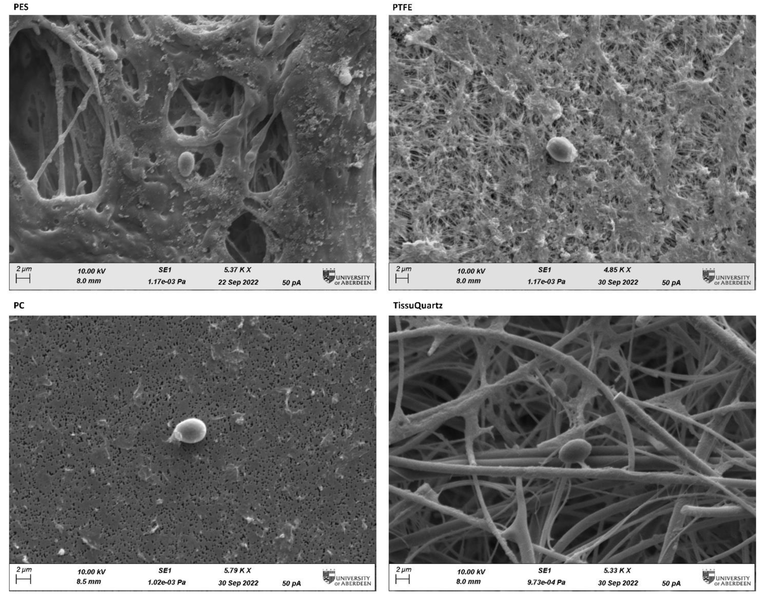 Sensors 23 02836 g006