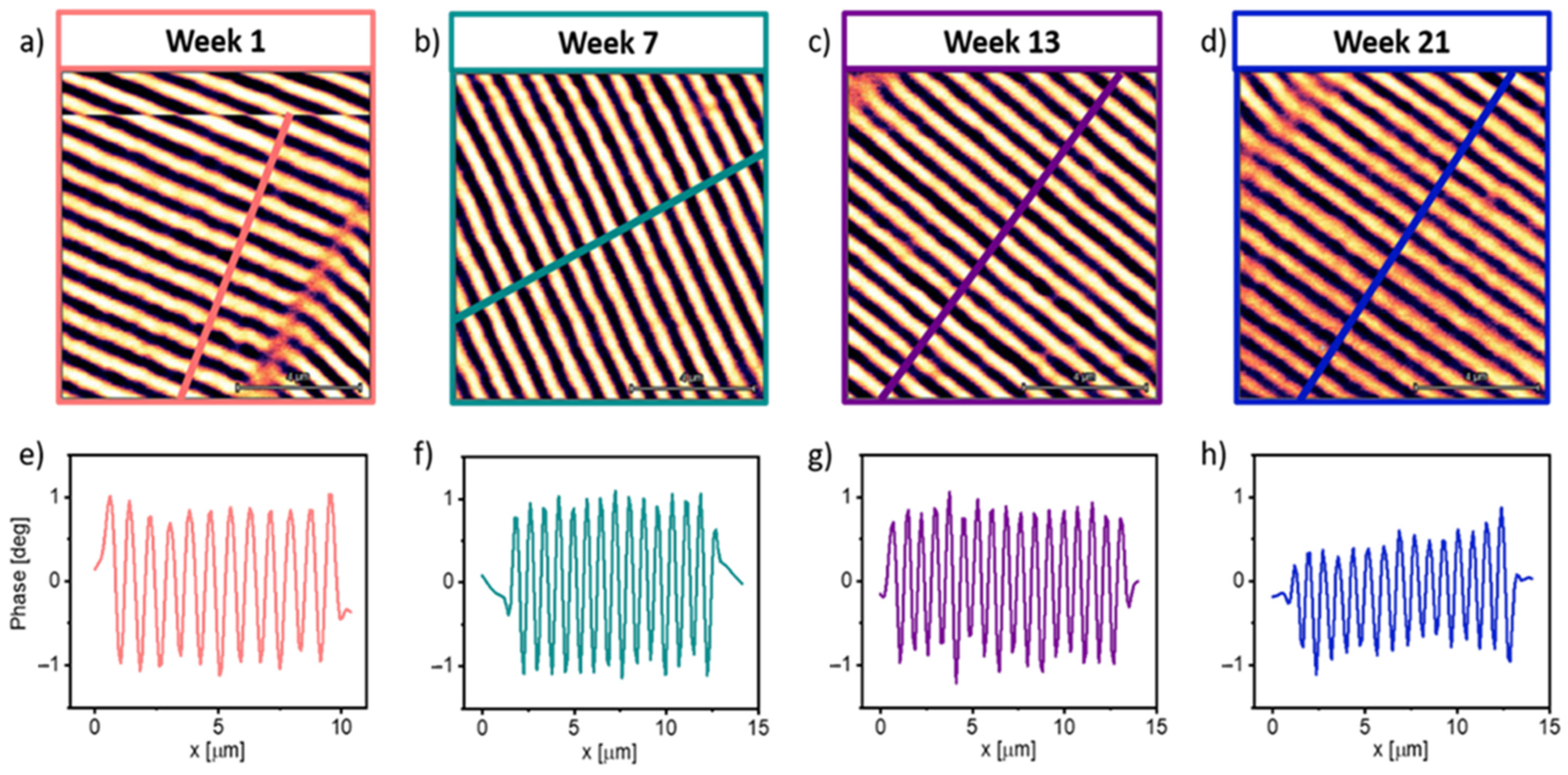 Sensors 23 02879 g005