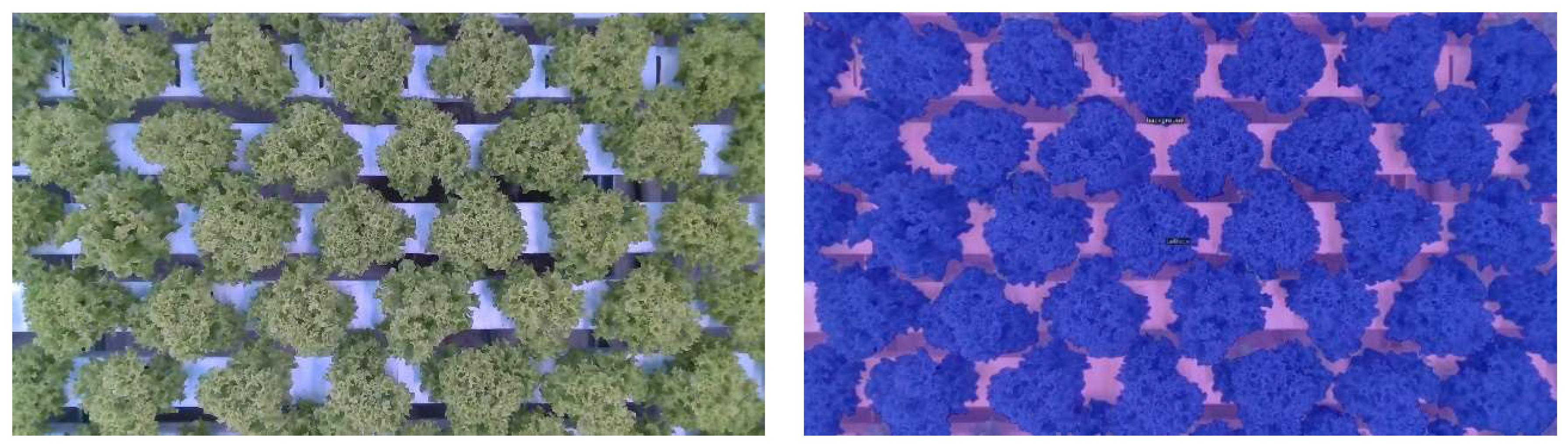 Sensors 23 02929 g005