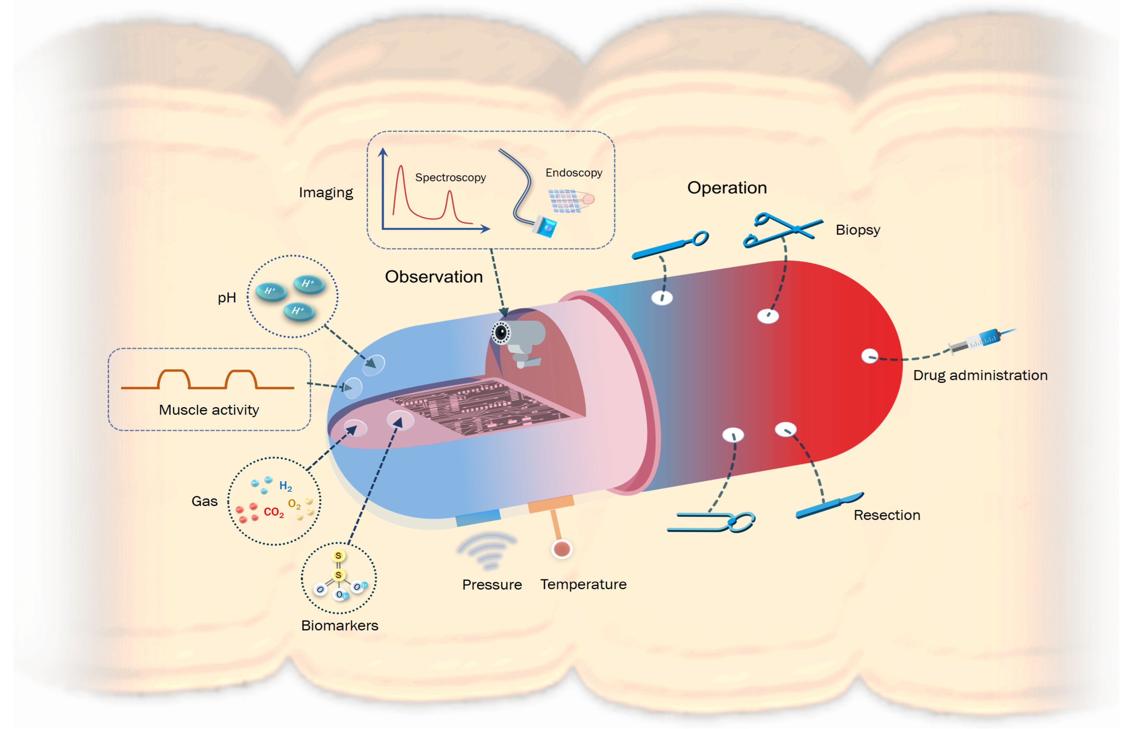 Sensors | Free Full-Text | Biocompatible and Long-Term Monitoring