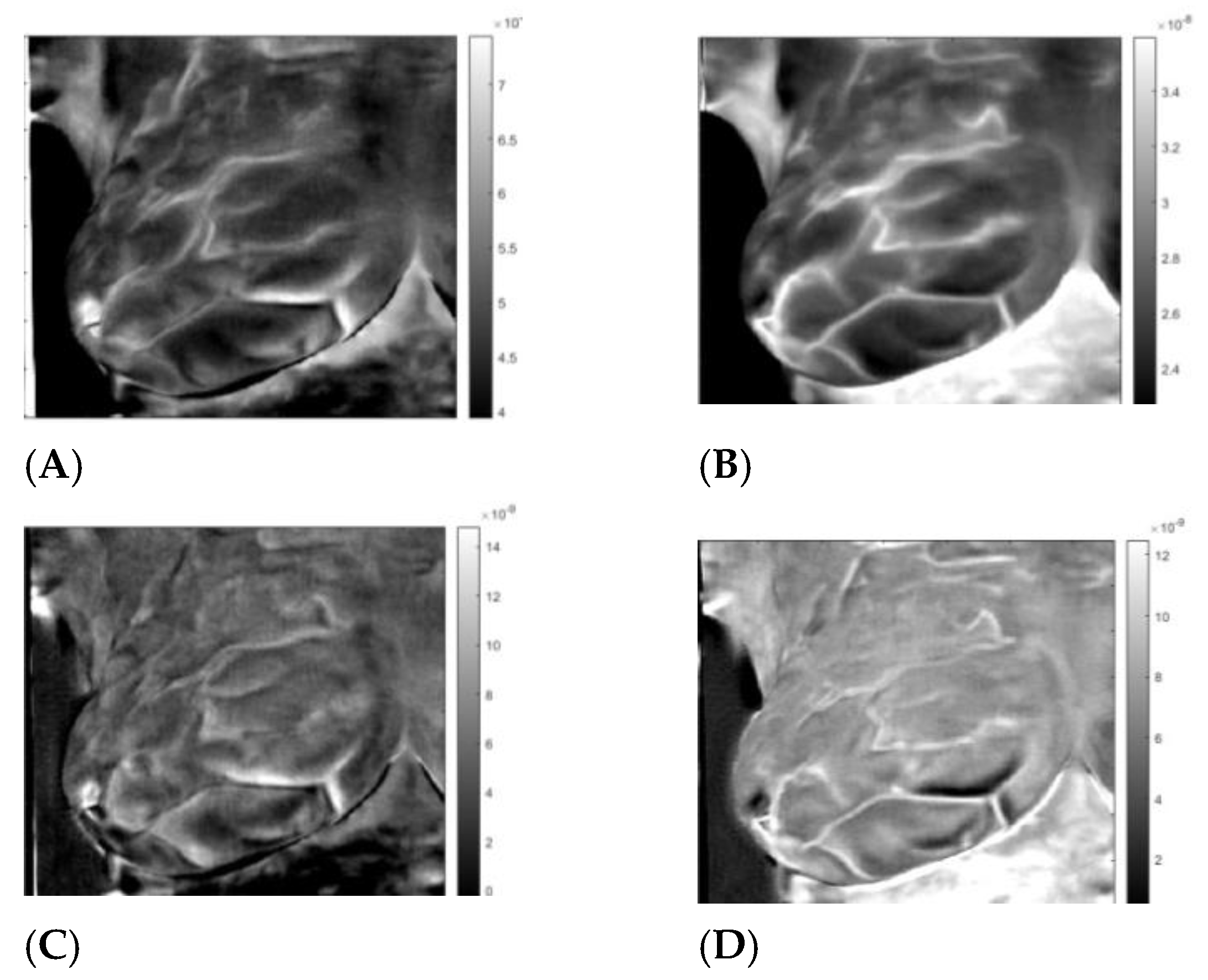 Sensors 23 03012 g006 Sensors 23 03012 g006