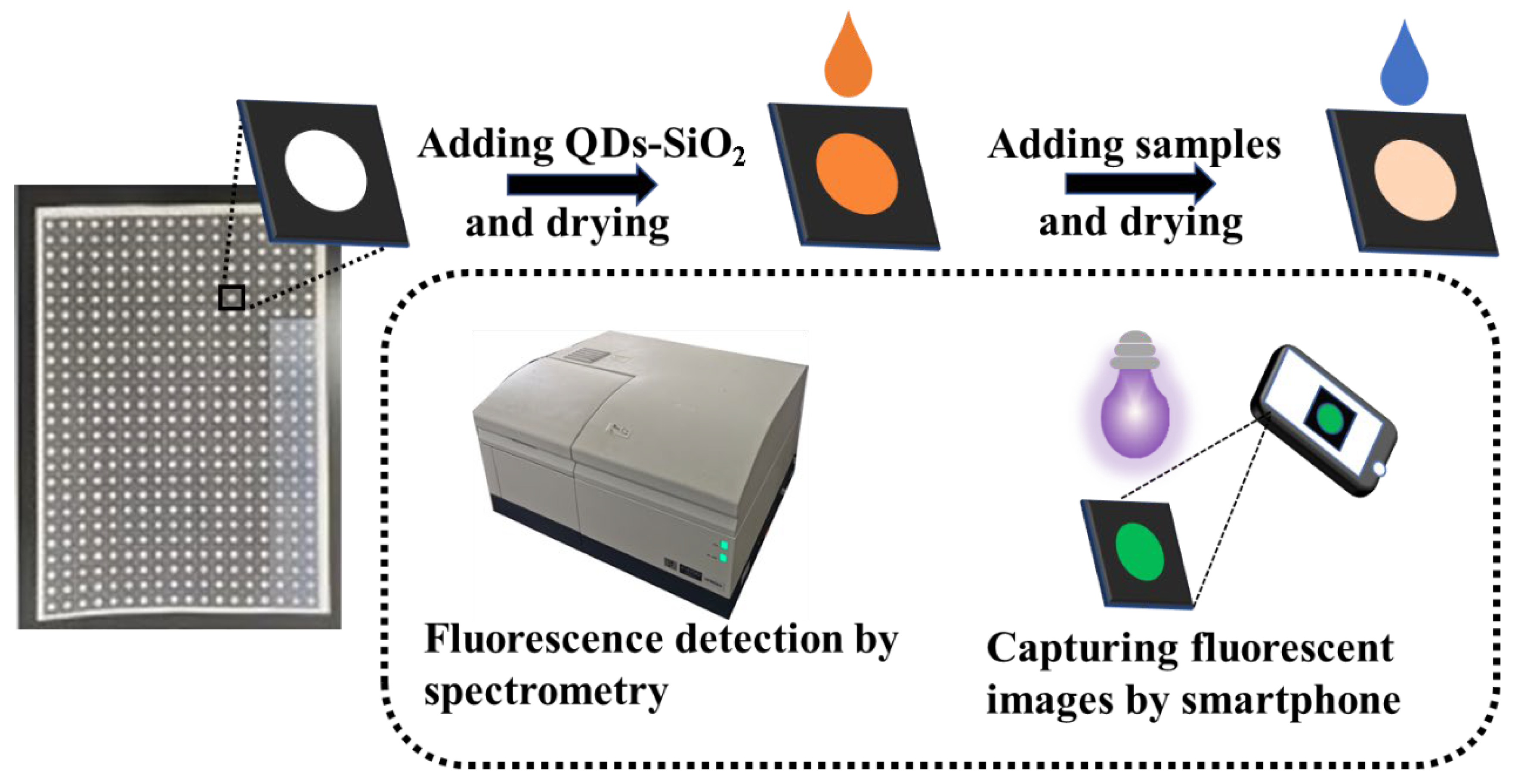 Sensors 23 03094 g001 Sensors 23 03094 g001