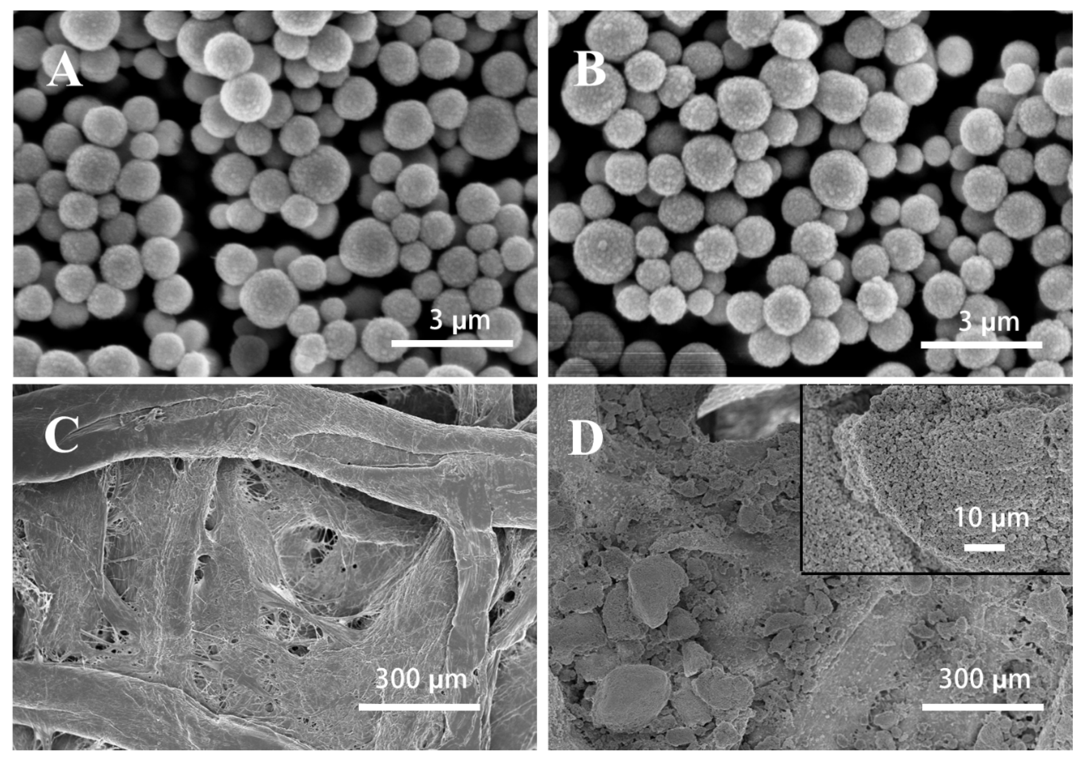 Sensors 23 03094 g002 Sensors 23 03094 g002