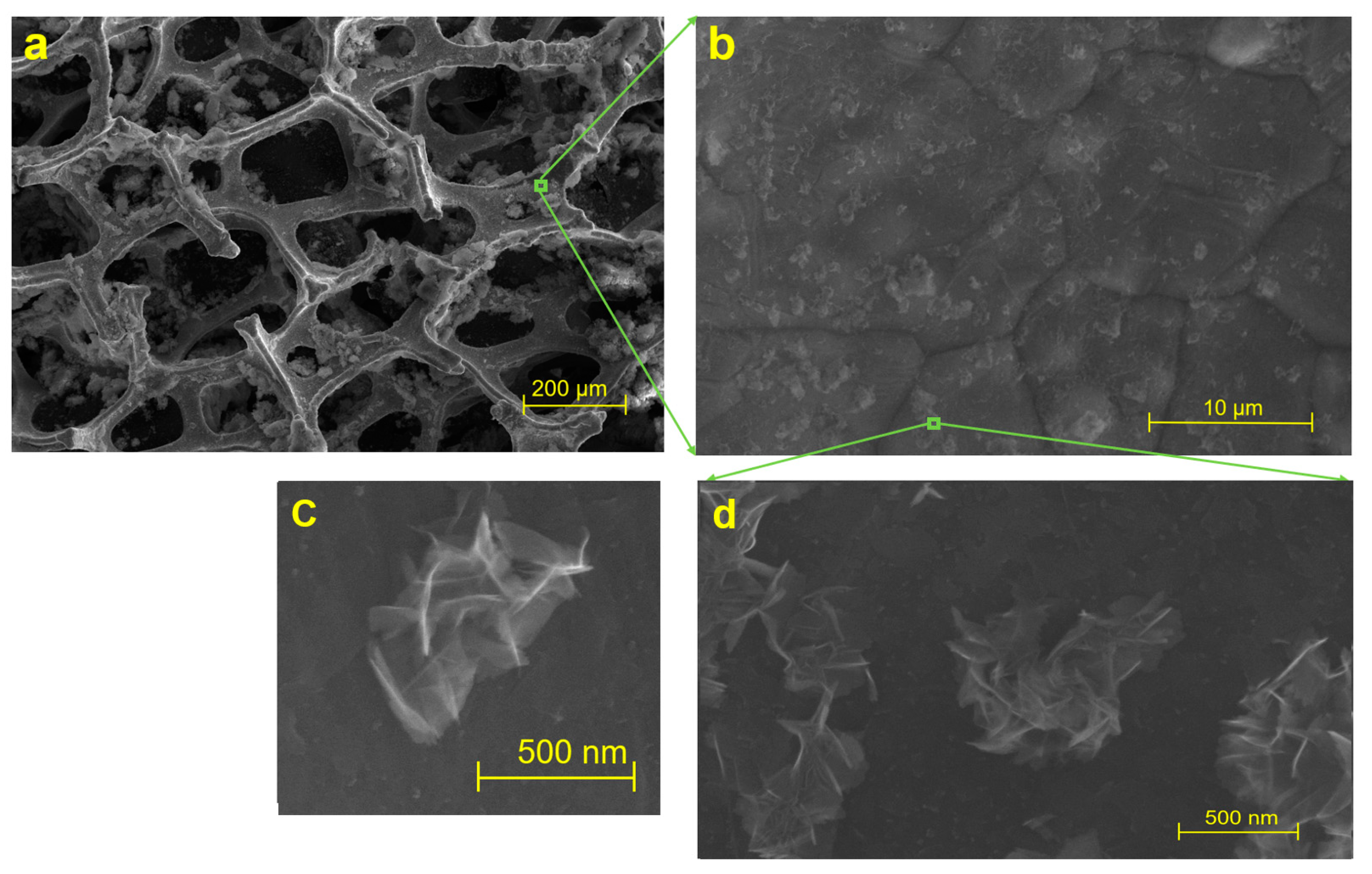 Sensors 23 03099 g002