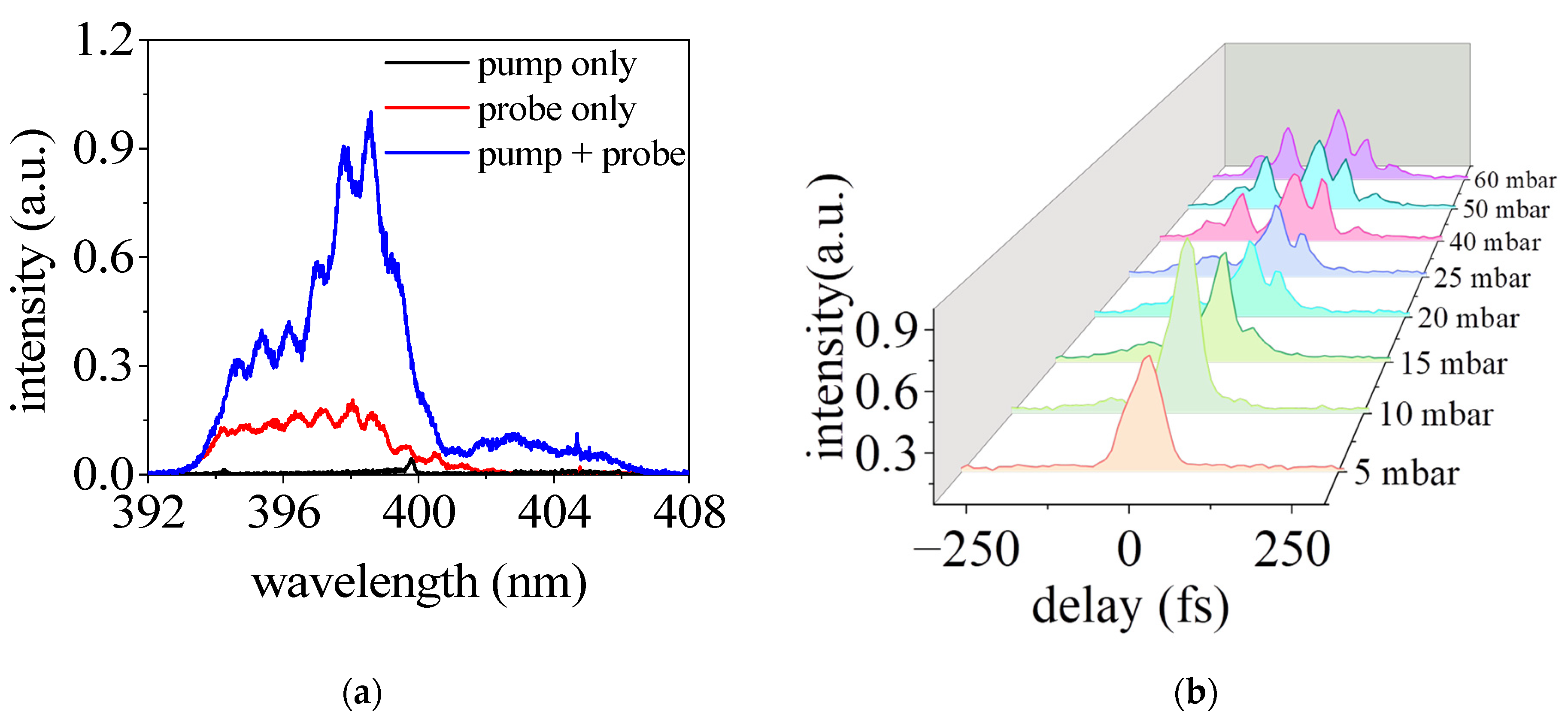 Sensors 23 03101 g003 Sensors 23 03101 g003