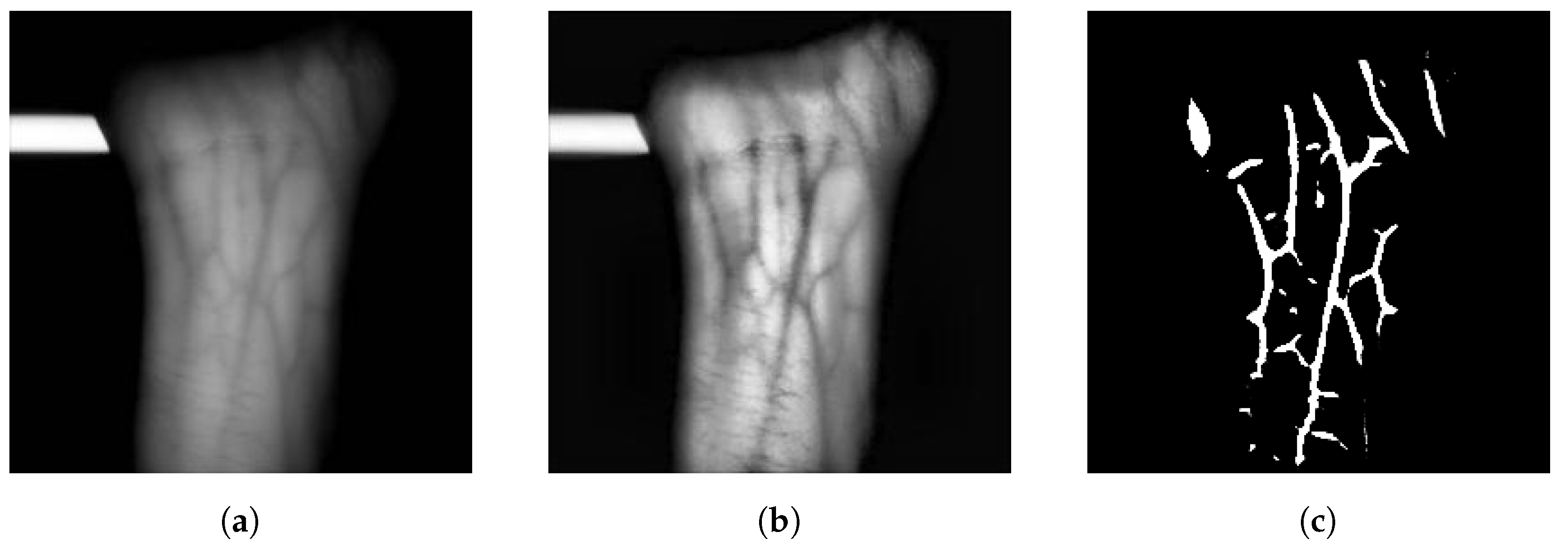 Sensors 23 03132 g001