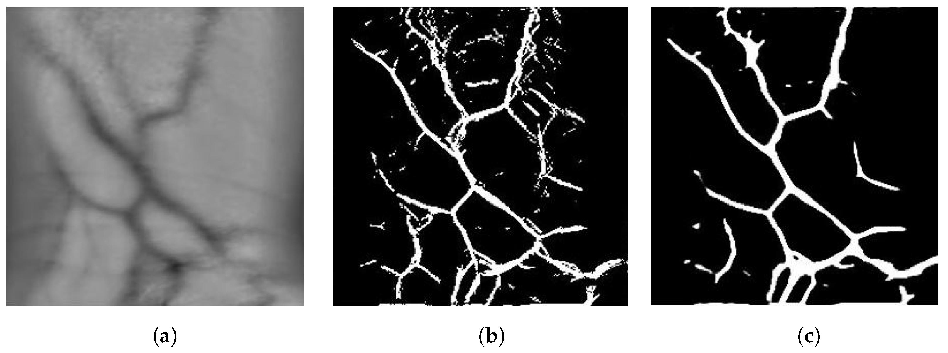 Sensors 23 03132 g004