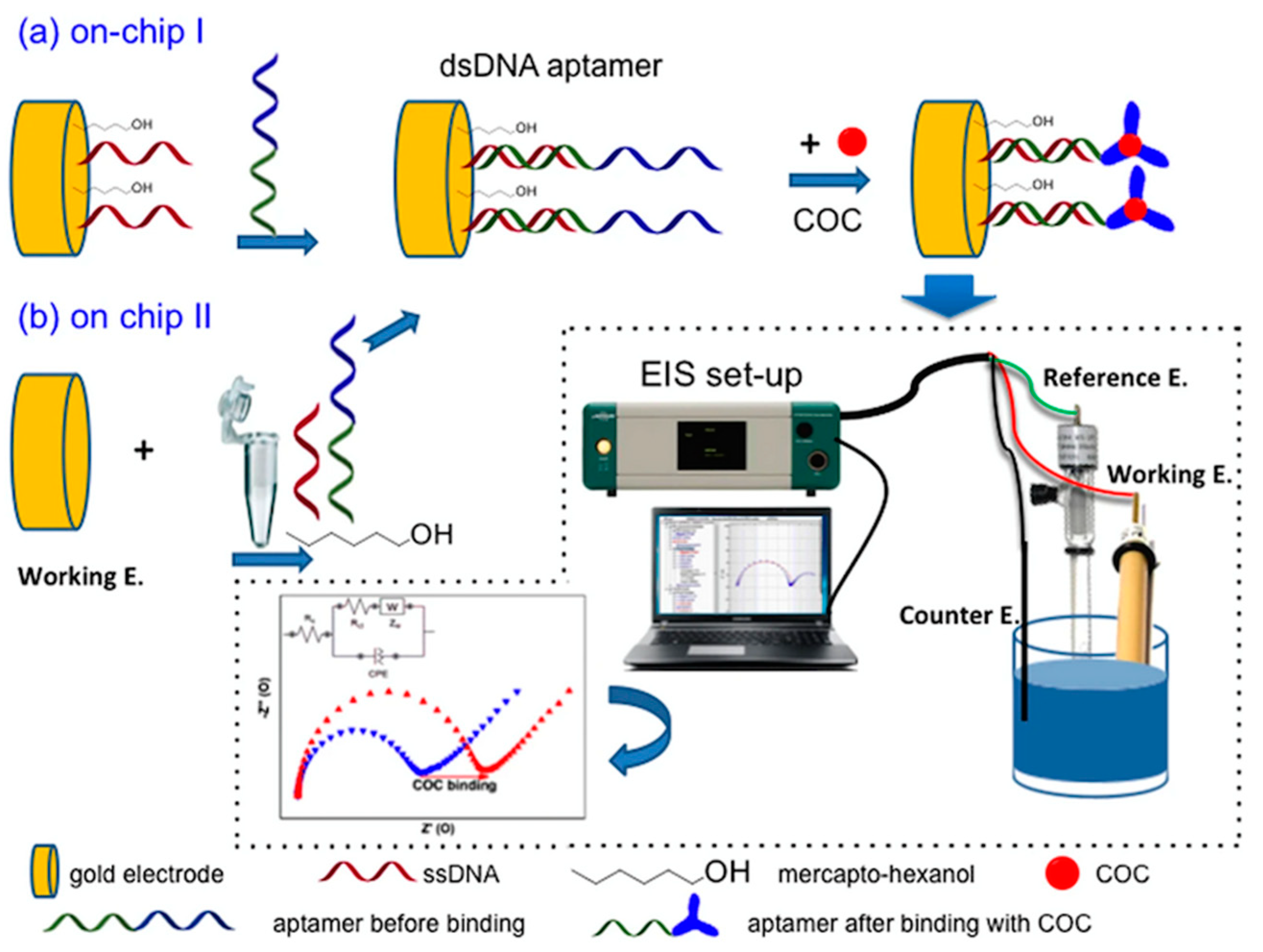 Electrochemical Portable Method for on site Screening of