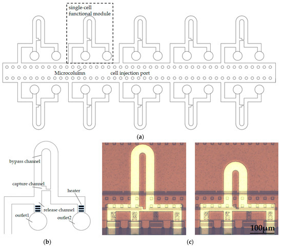 https://www.mdpi.com/sensors/sensors-23-03623/article_deploy/html/images/sensors-23-03623-g001-550.jpg