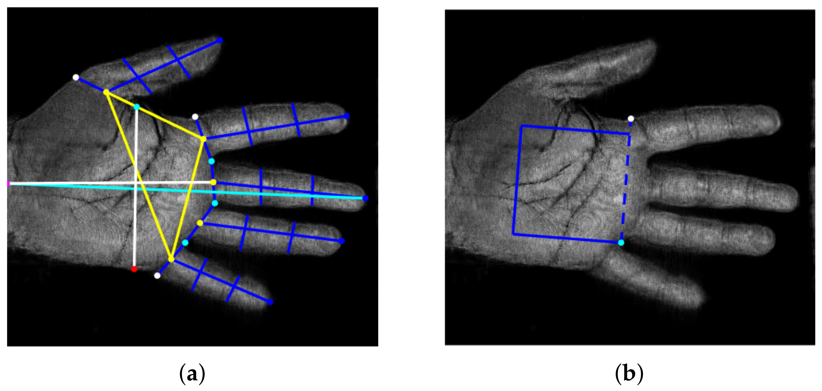 Sensors 23 03653 g002