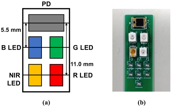 Sensors | Free Full-Text | Investigation of Optimal Light Source Wavelength  for Cuffless Blood Pressure Estimation Using a Single Photoplethysmography  Sensor