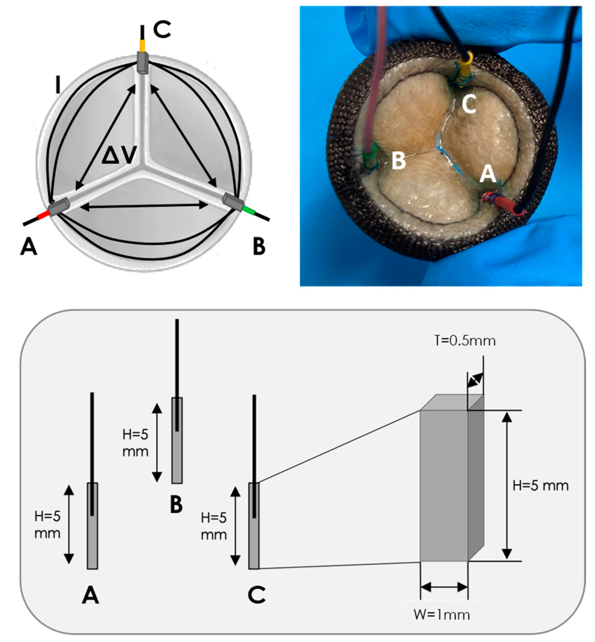 Sensors 23 03829 g001 Sensors 23 03829 g001