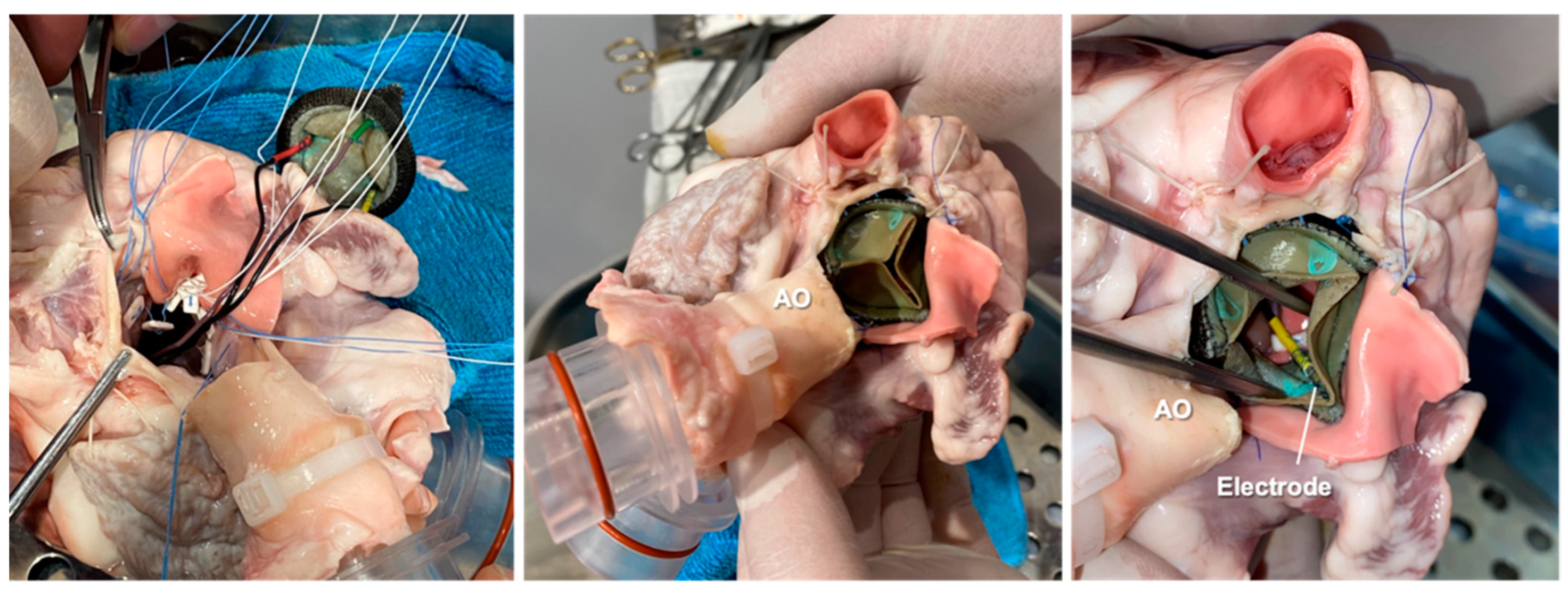 Sensors 23 03829 g003 Sensors 23 03829 g003