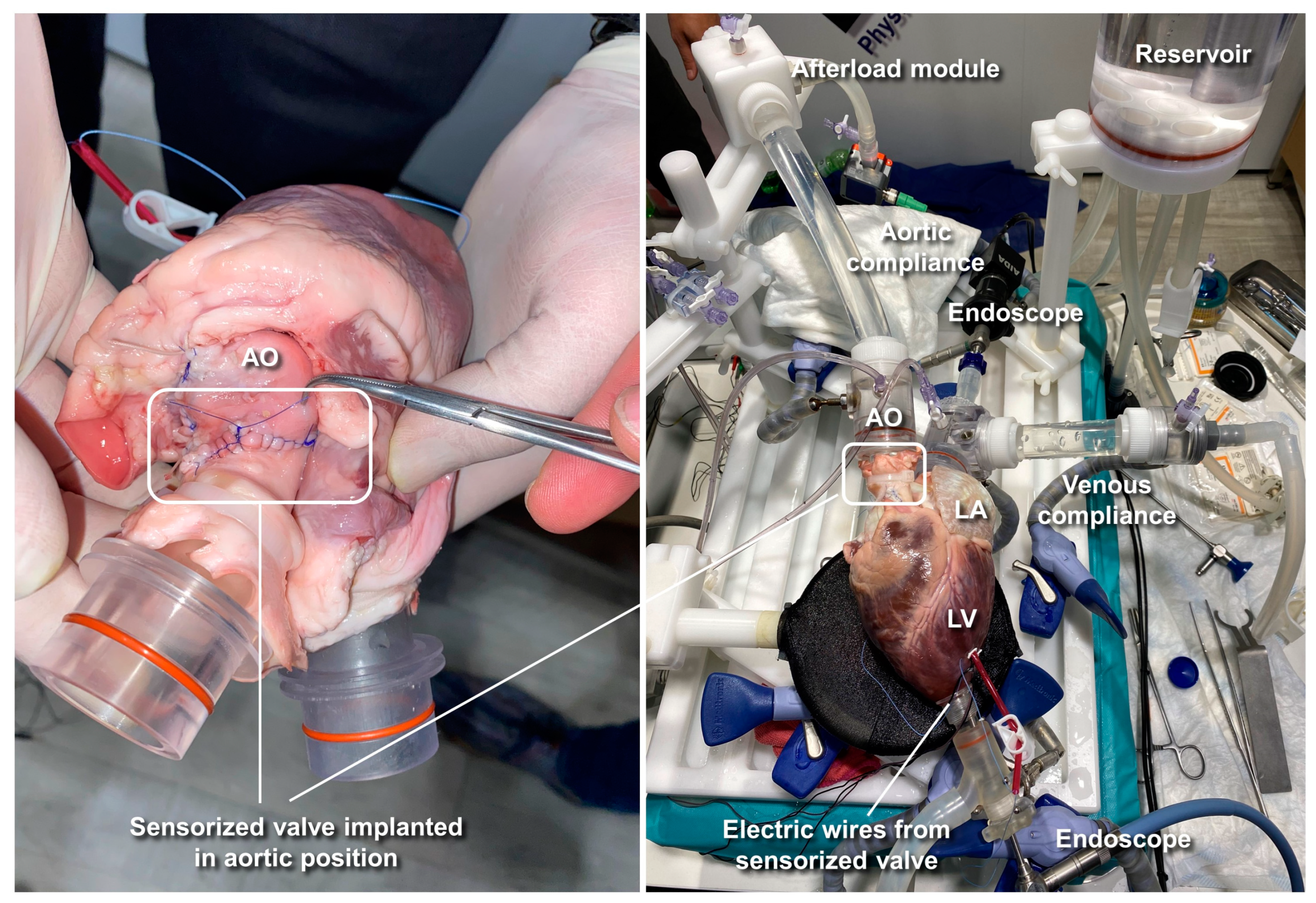 Sensors 23 03829 g004 Sensors 23 03829 g004