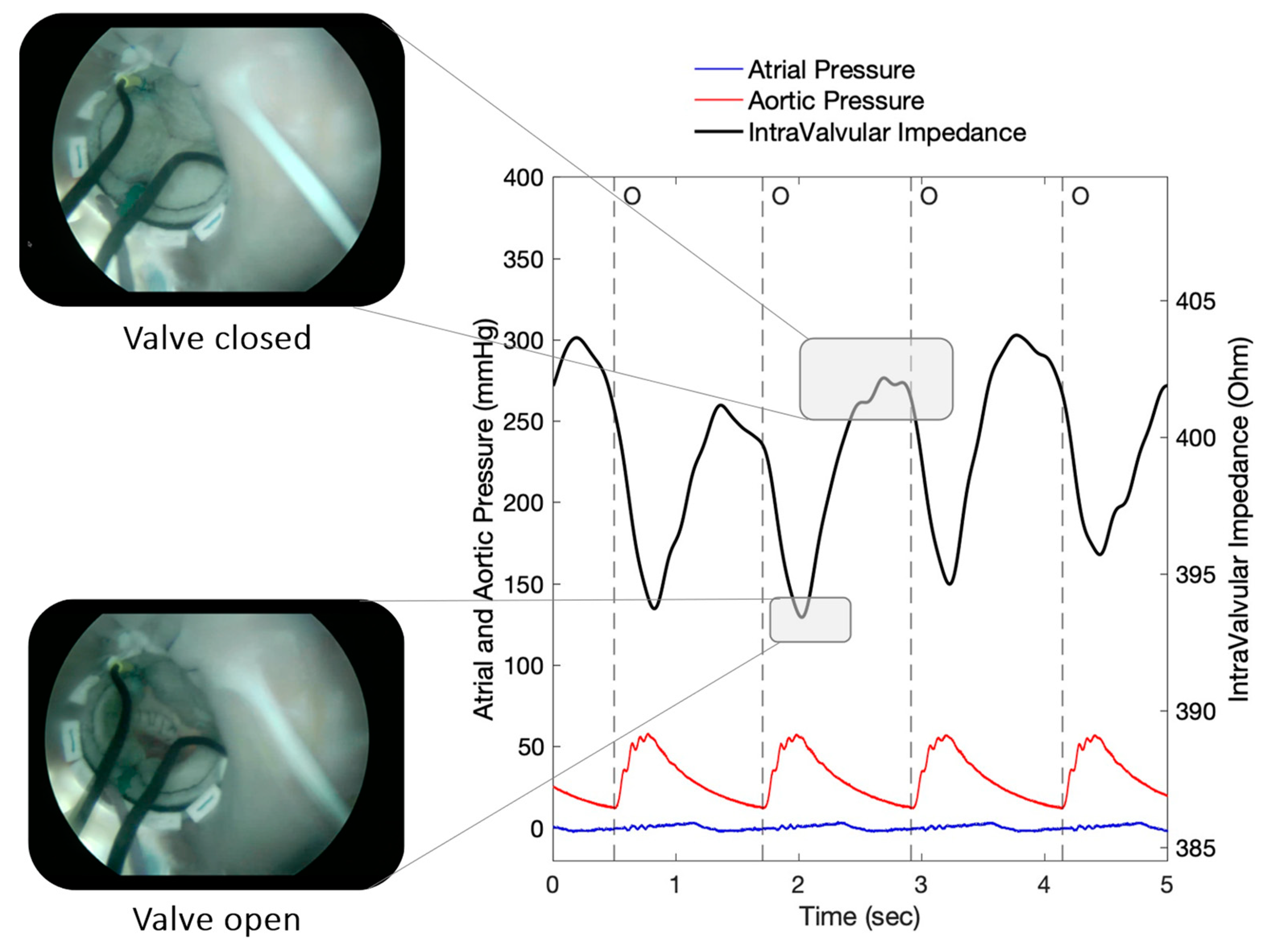 Sensors 23 03829 g005 Sensors 23 03829 g005