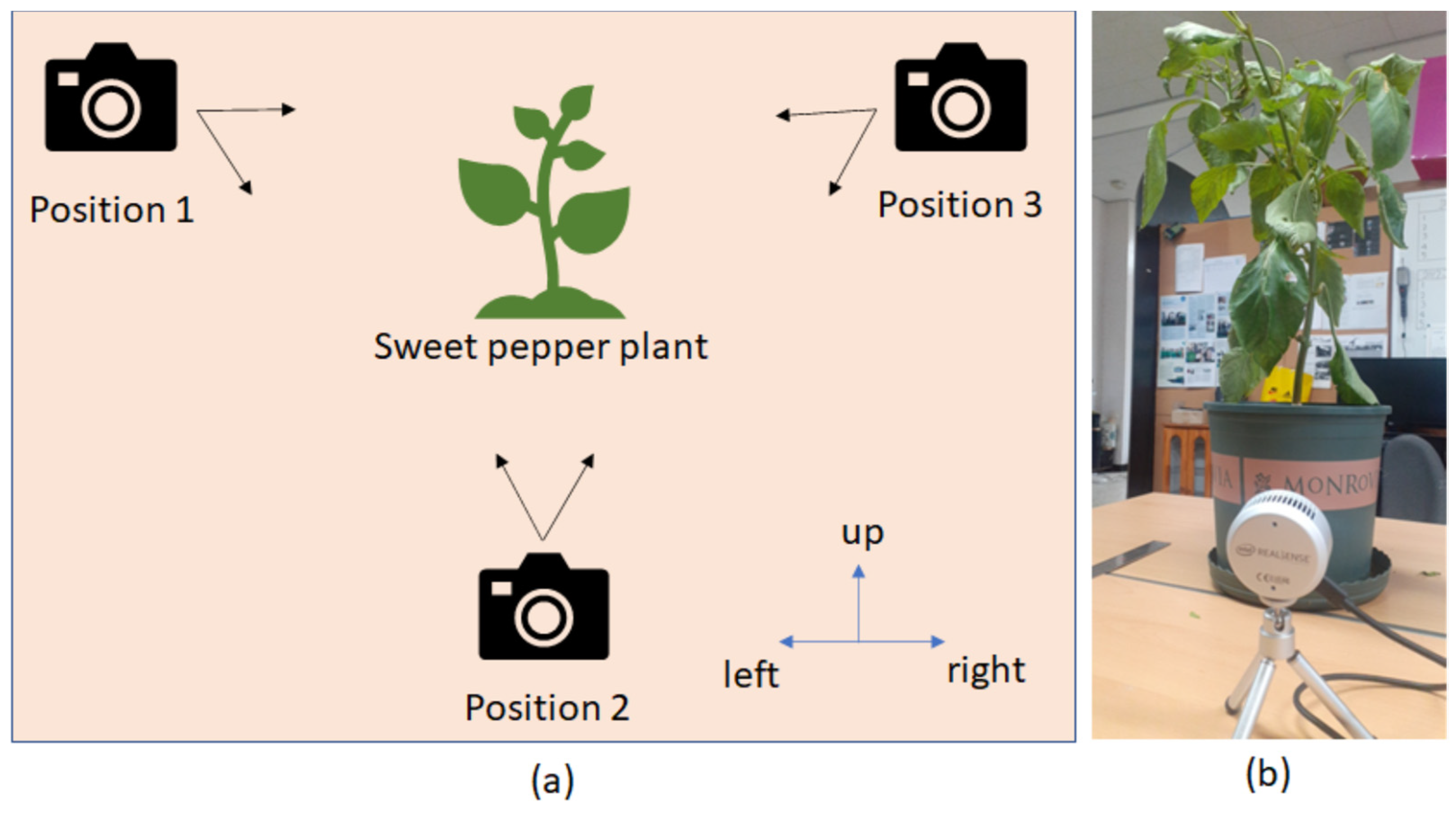 Sensors 23 04040 g010 Sensors 23 04040 g010