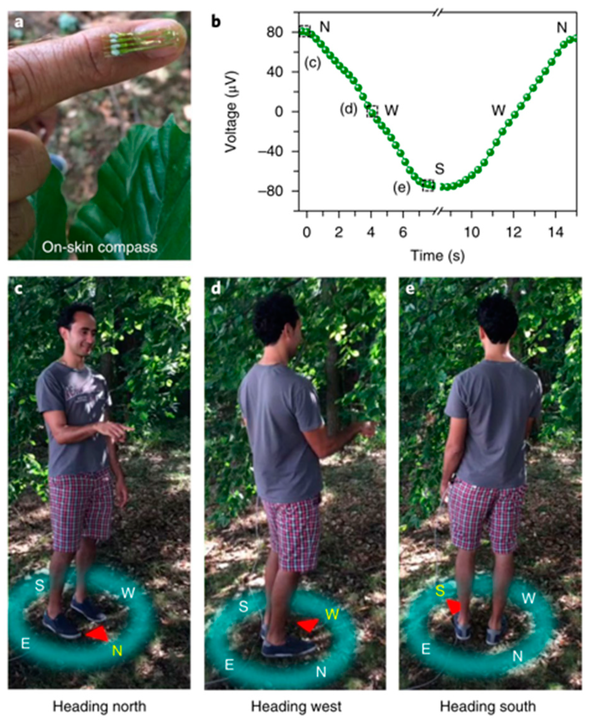 Sensors 23 04083 g018