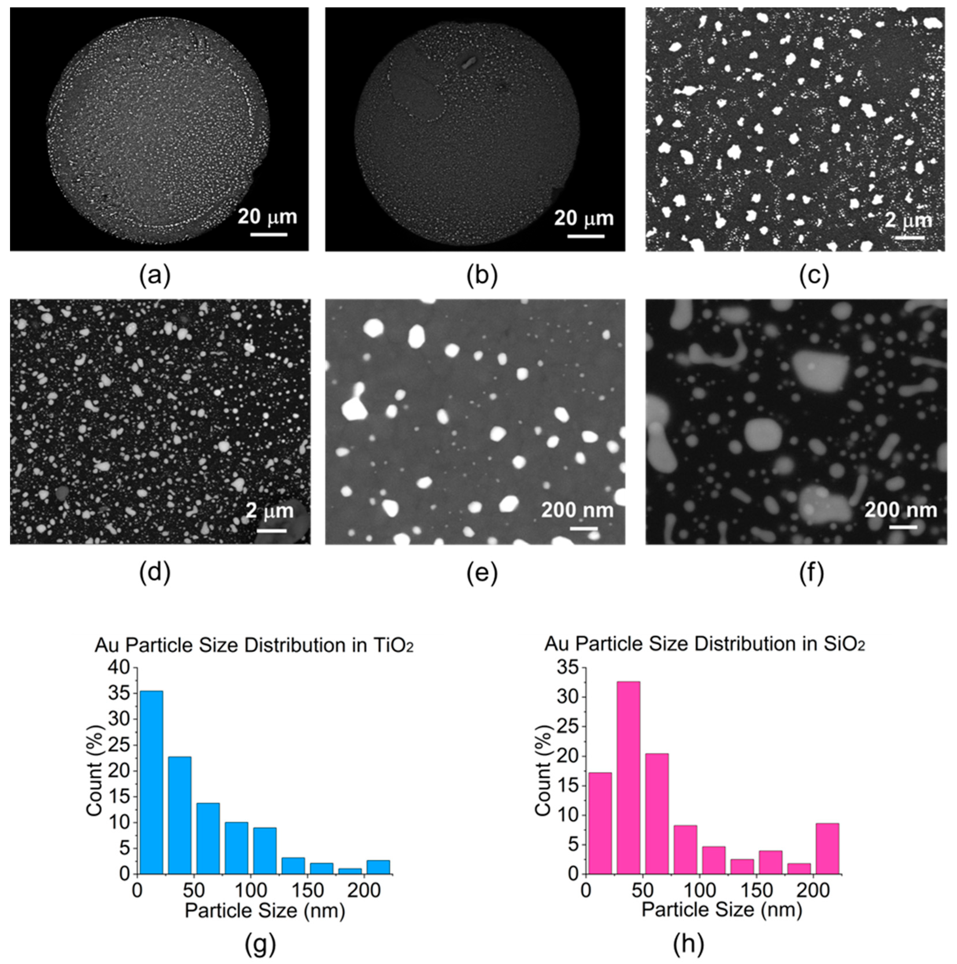 Sensors 23 04165 g002 Sensors 23 04165 g002