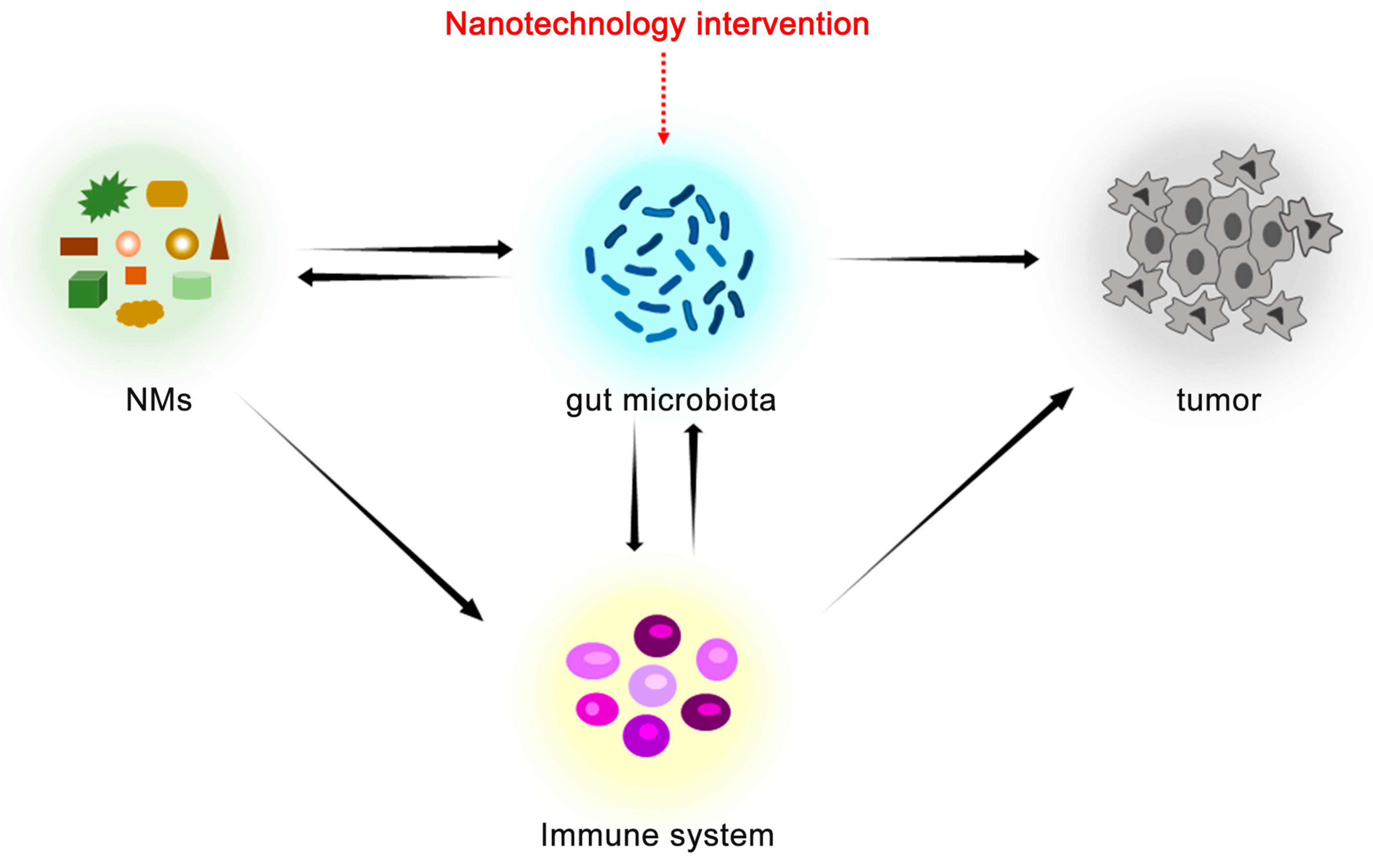 Sensors 23 04428 g004 Sensors 23 04428 g004
