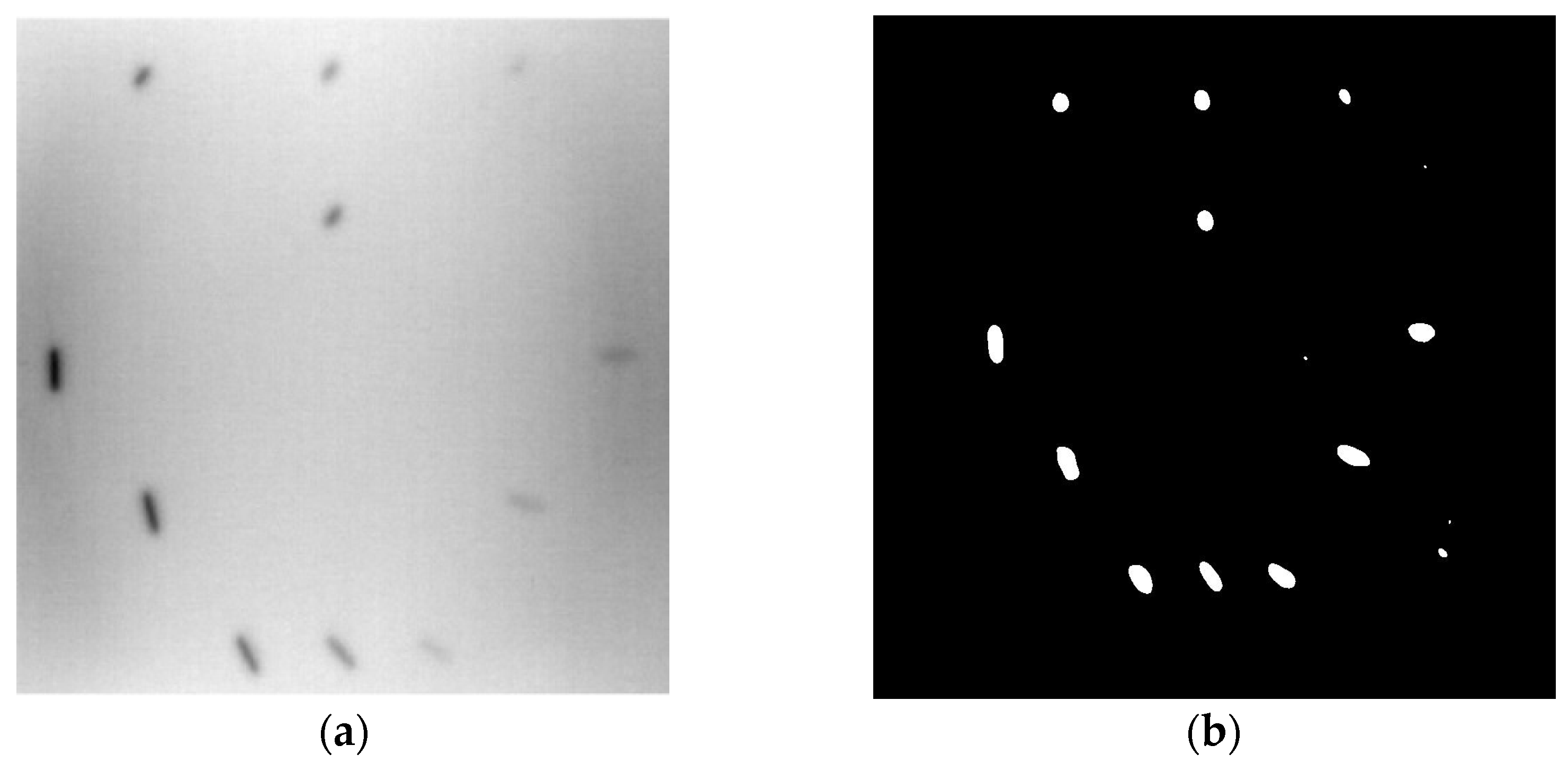 Sensors 23 04444 g011 Sensors 23 04444 g011