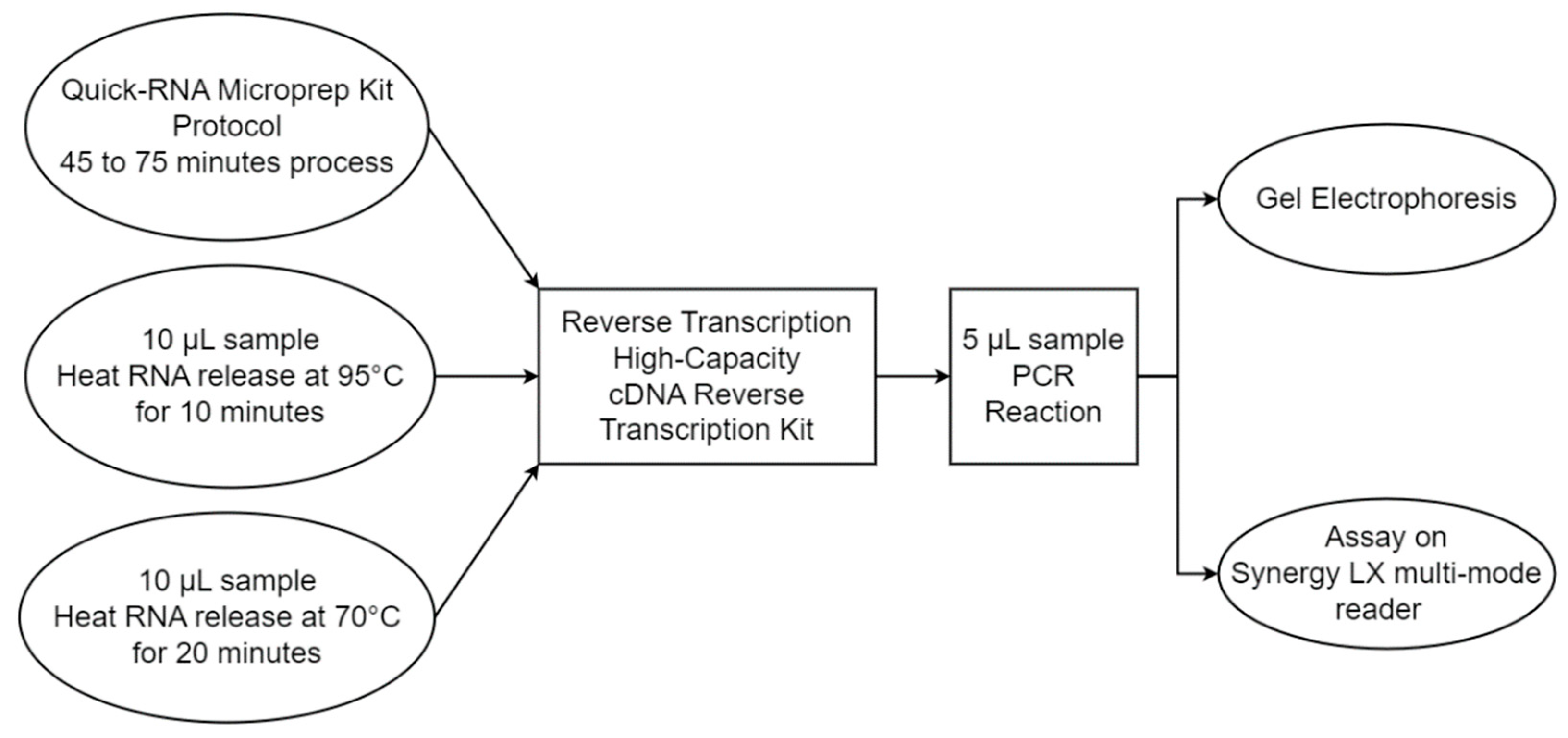 Sensors 23 04604 g004 Sensors 23 04604 g004