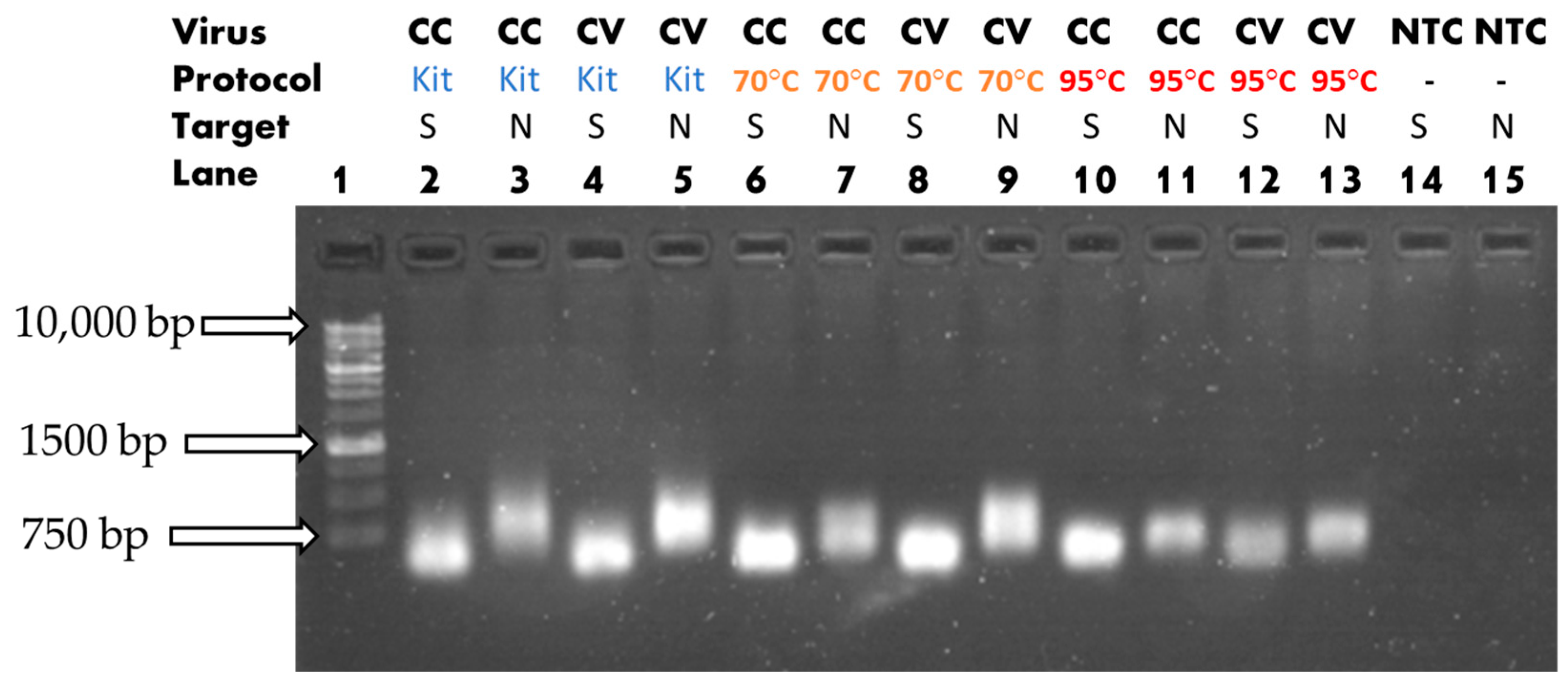 Sensors 23 04604 g007 Sensors 23 04604 g007