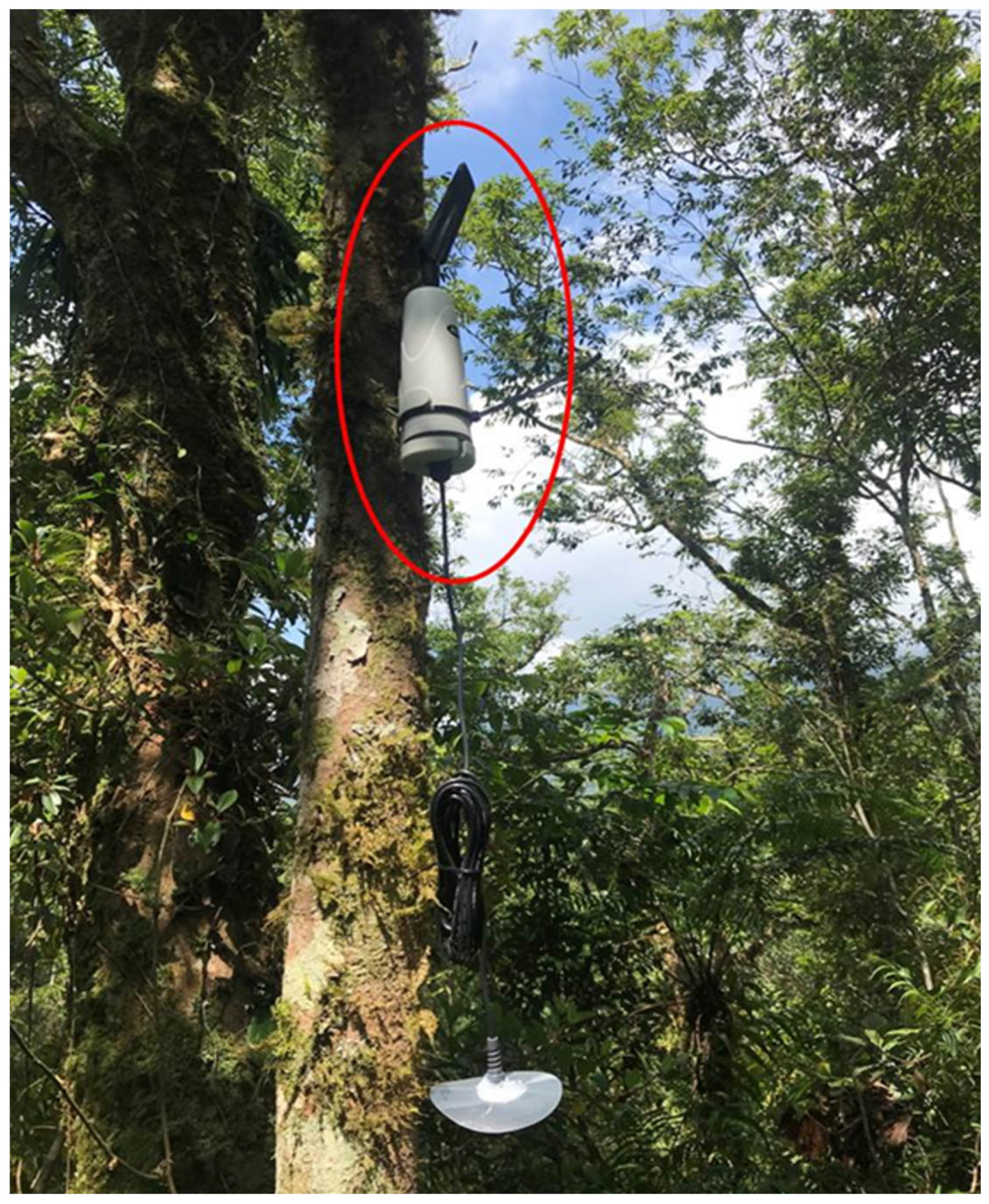 Sensors 23 04809 g006 Sensors 23 04809 g006