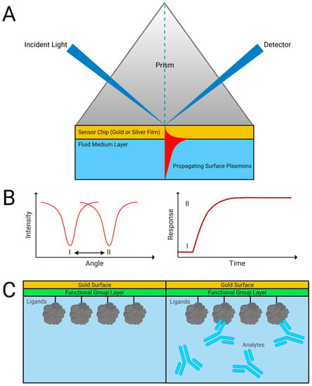 Optimizing Drug Discovery: Surface Plasmon Resonance Techniques