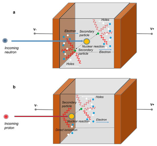 Flexible fully organic indirect detector for megaelectronvolts proton beams