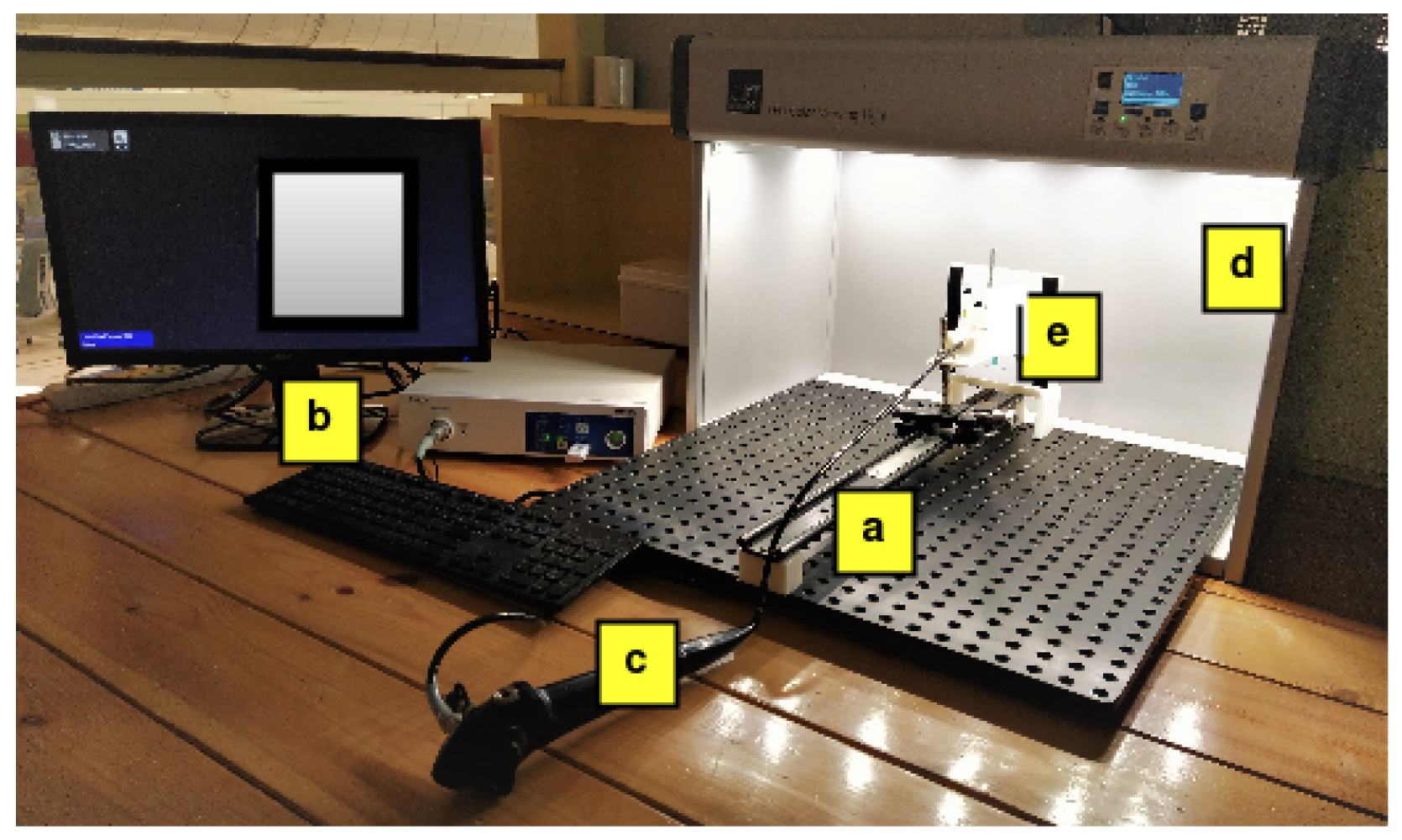 Sensors 23 04932 g002