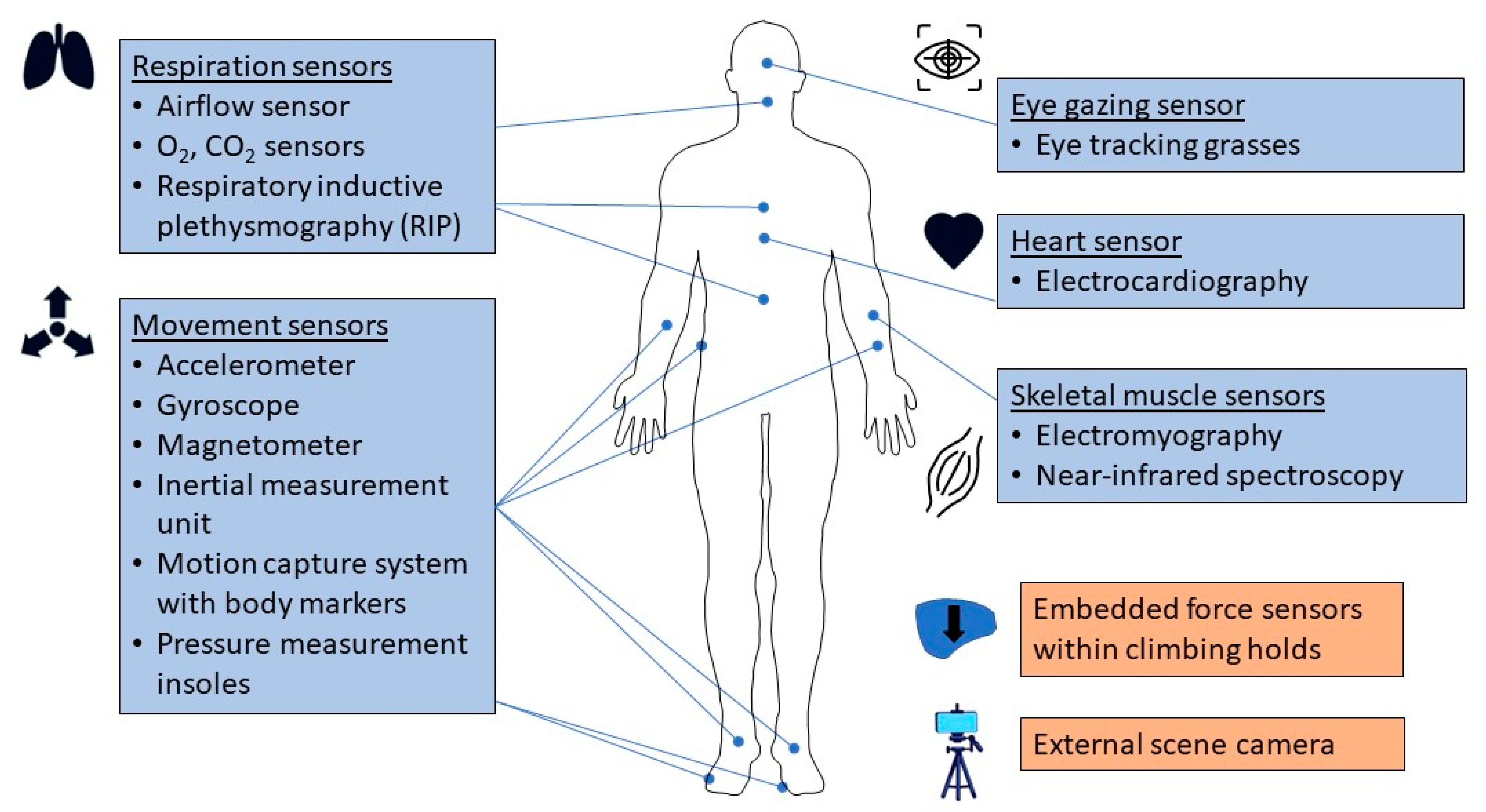 Sensors | Free Full-Text | Wearable and Non-Invasive Sensors for Rock  Climbing Applications: Science-Based Training and Performance Optimization
