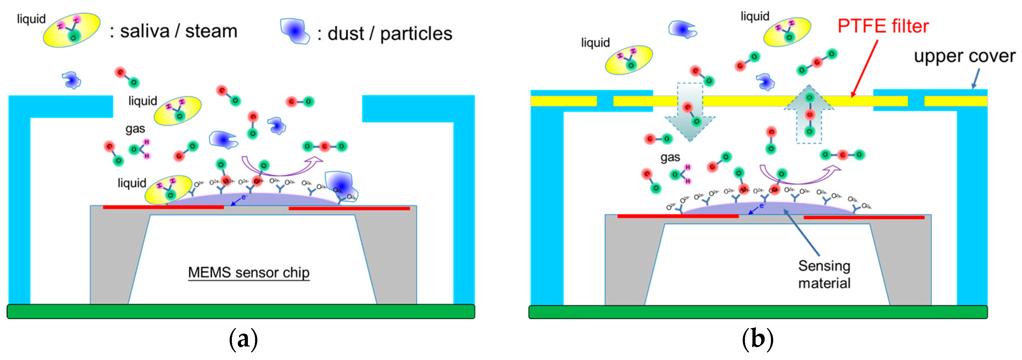 Sensors 23 05087 g001 Sensors 23 05087 g001