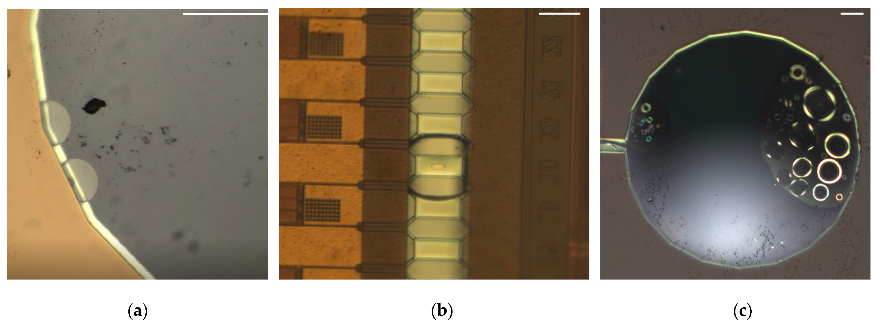 Sensors 23 05207 g011 Sensors 23 05207 g011