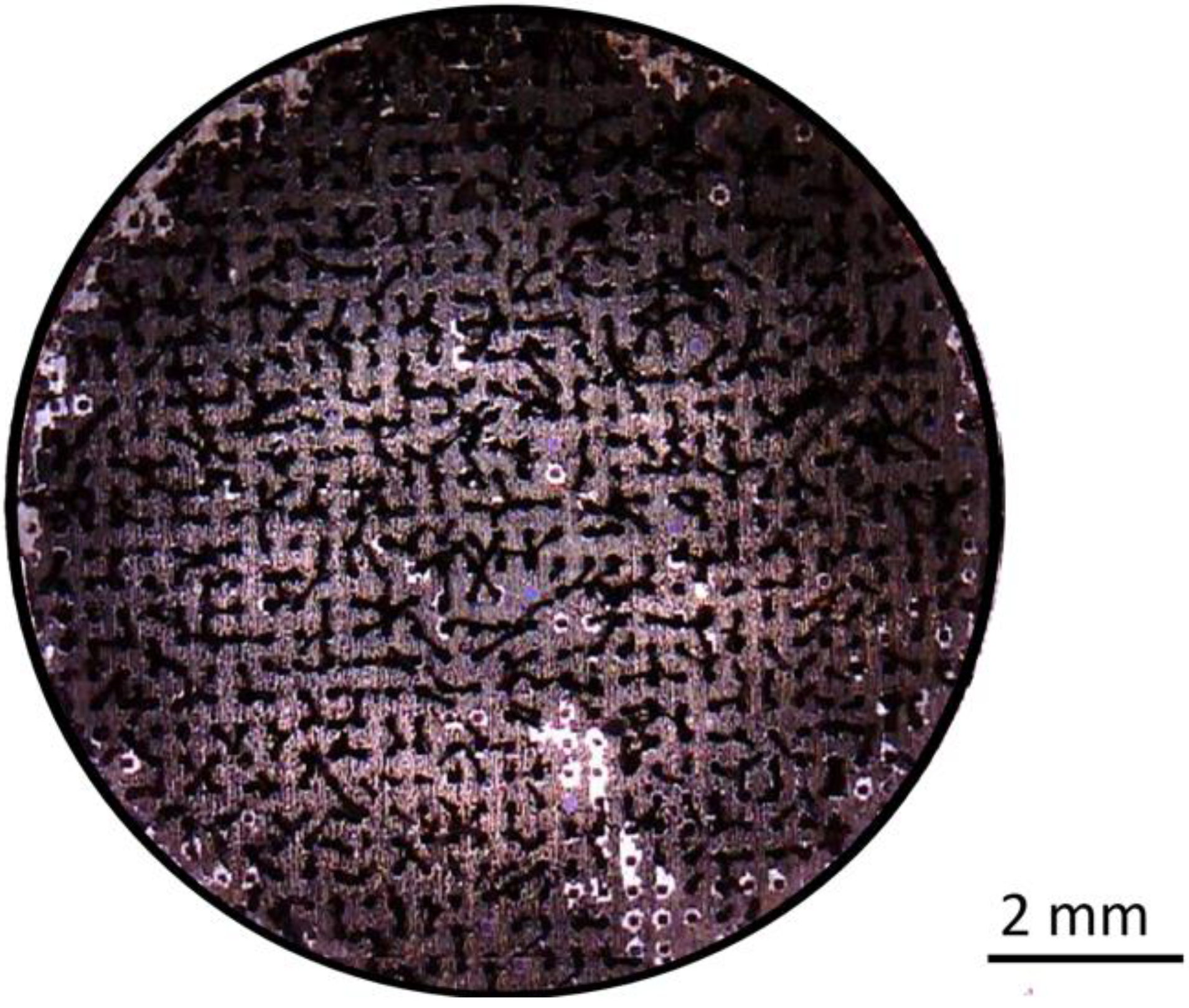 Electron Microscopy Sciences 3M Z-Axis Electrically Conductive Tape 9703