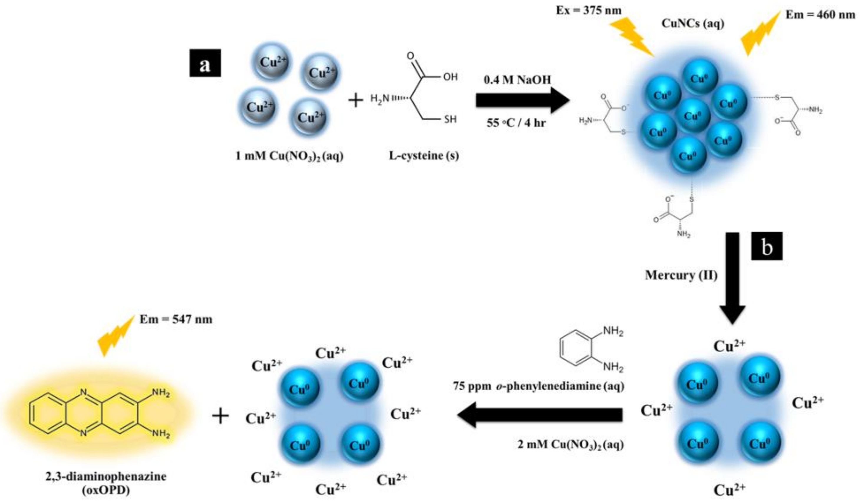 Sensors 23 05429 sch001