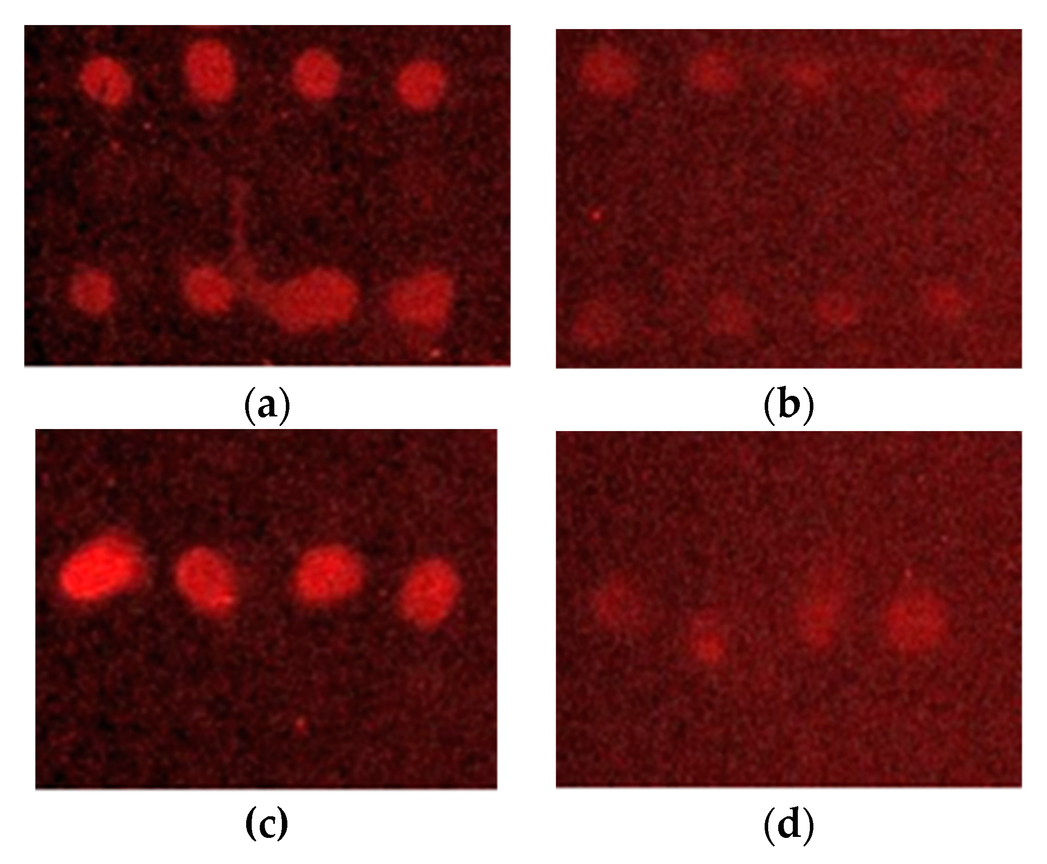 Sensors 23 05570 g004