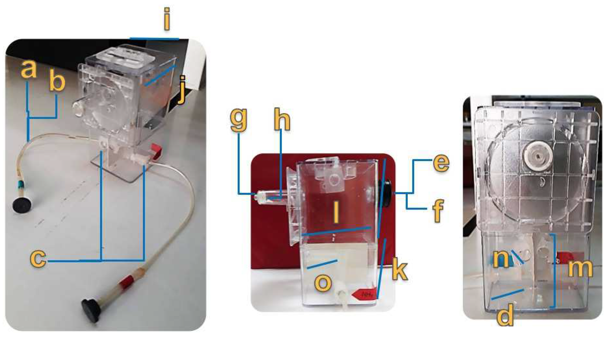 Sensors 23 05602 g002 Sensors 23 05602 g002