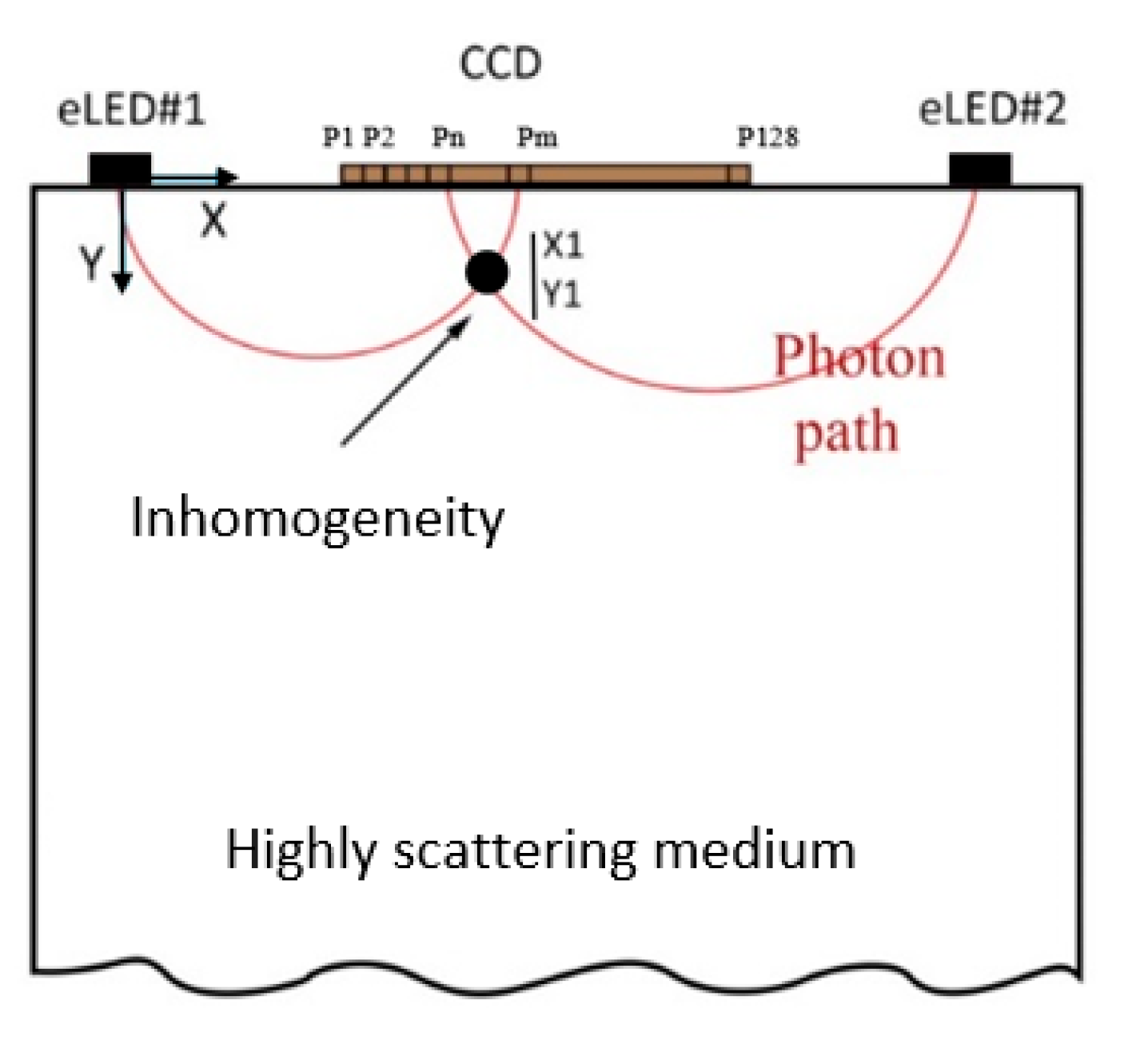 Sensors 23 05761 g005