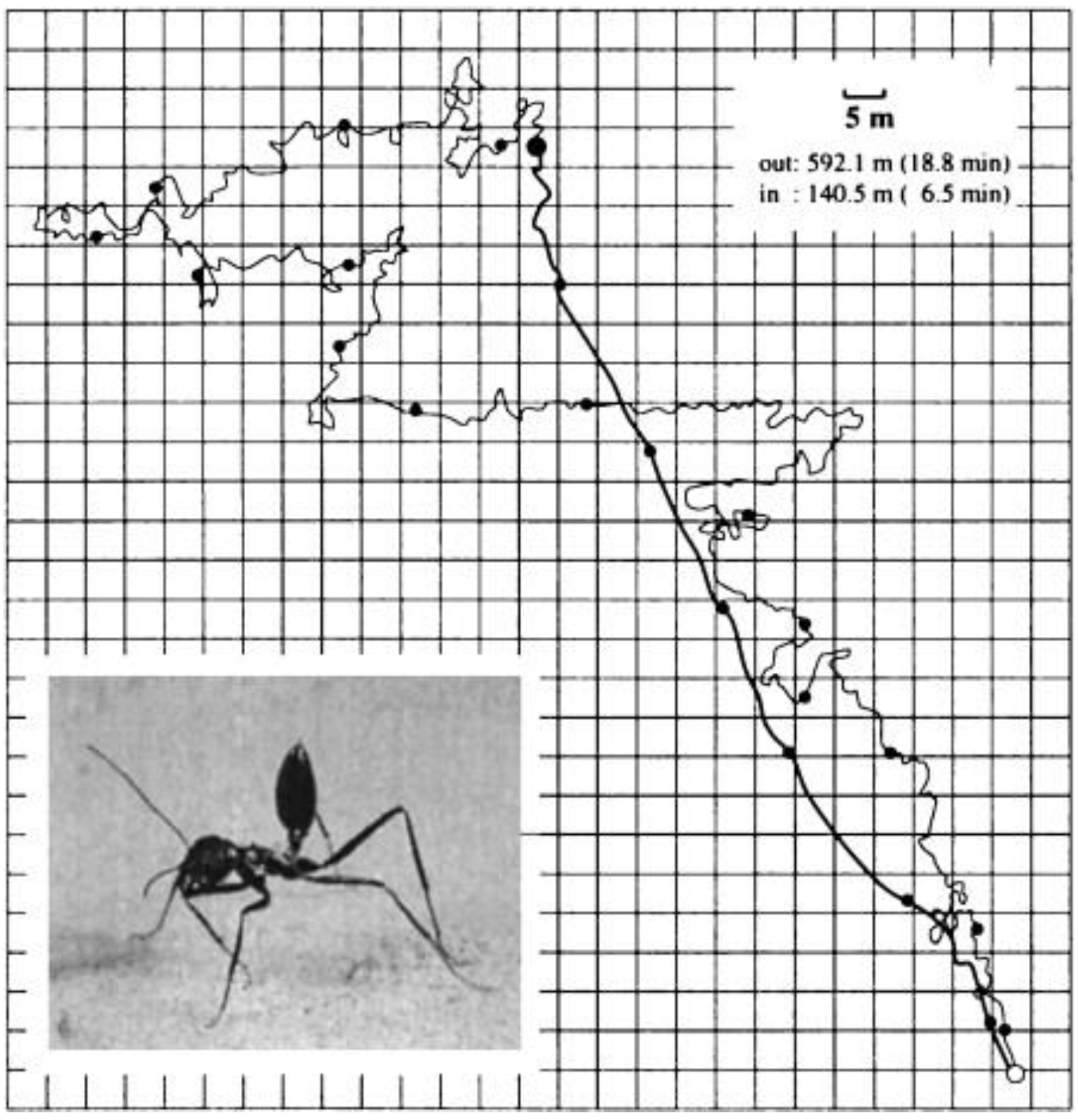 Sensors 23 05848 g001 Sensors 23 05848 g001