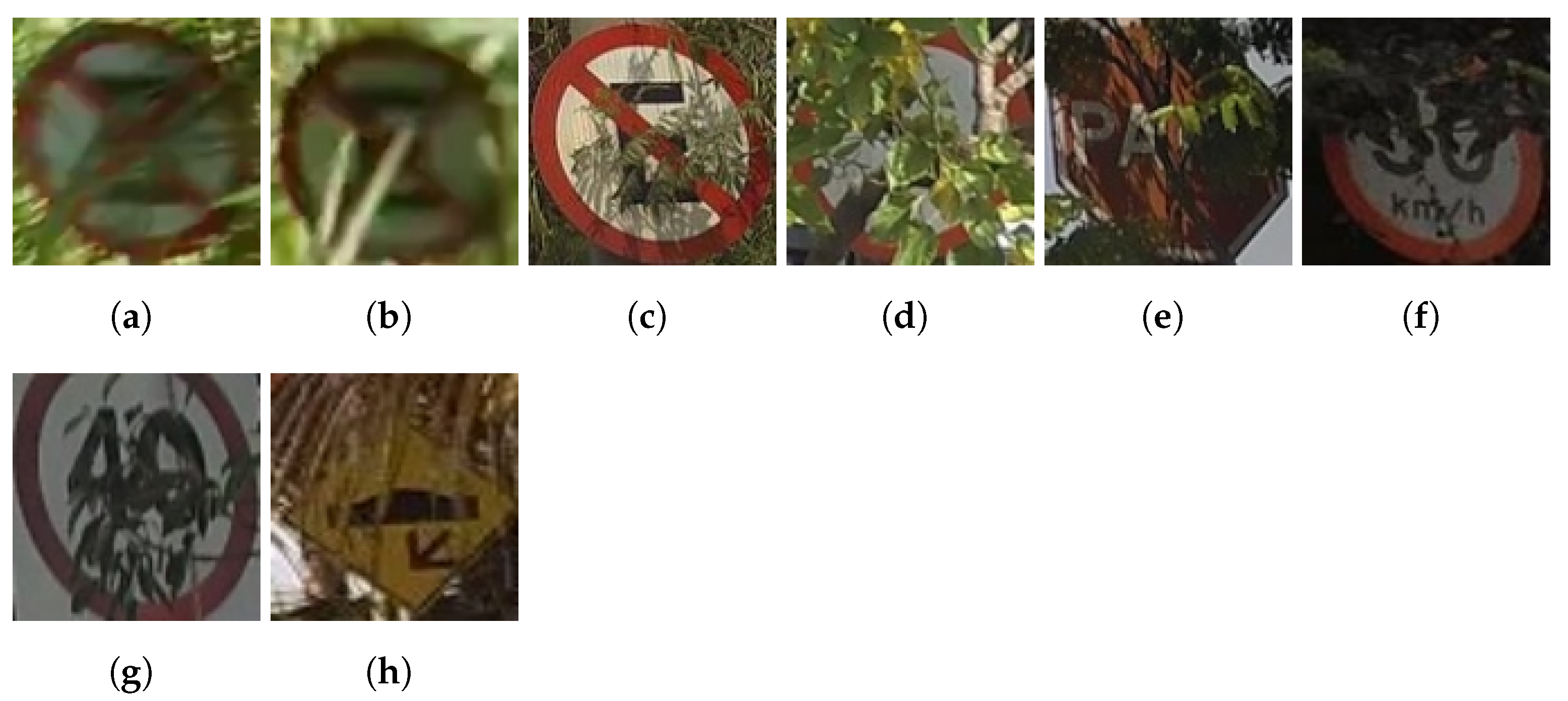 Sensors 23 05919 g002 Sensors 23 05919 g002