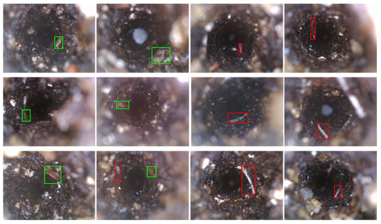 Sensors | Free Full-Text | Early Identification of Root Damages