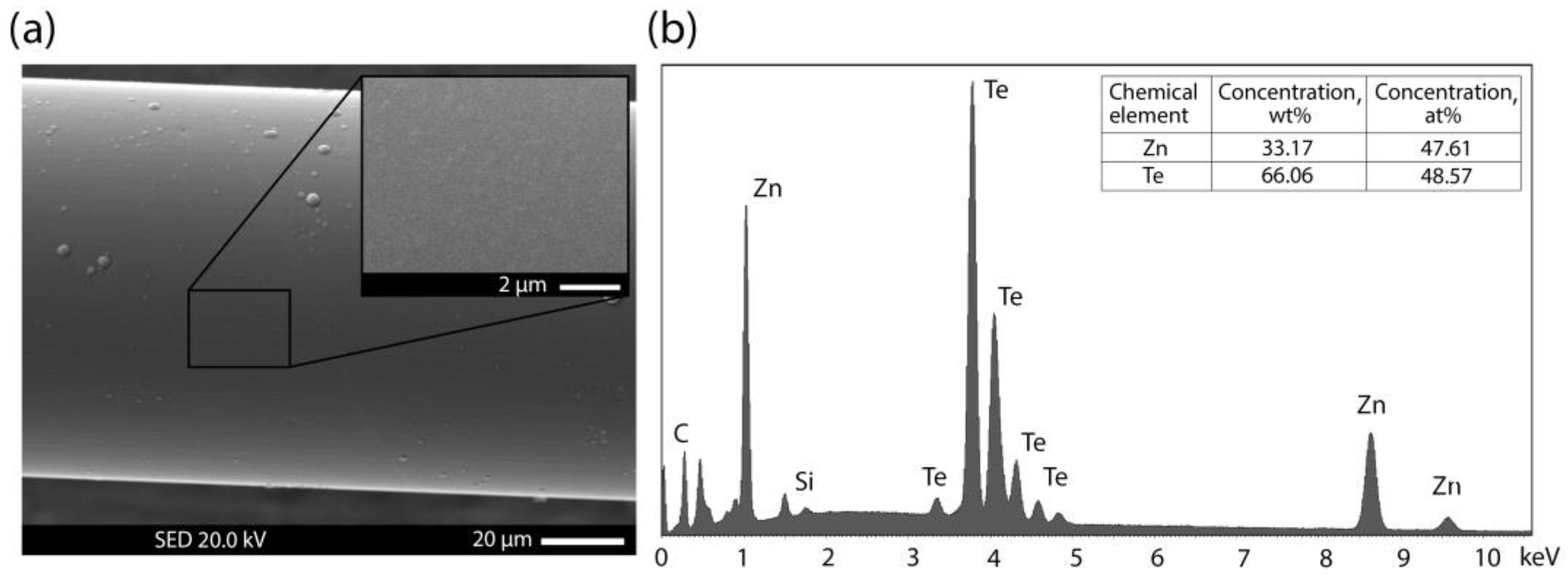 Sensors 23 06049 g002