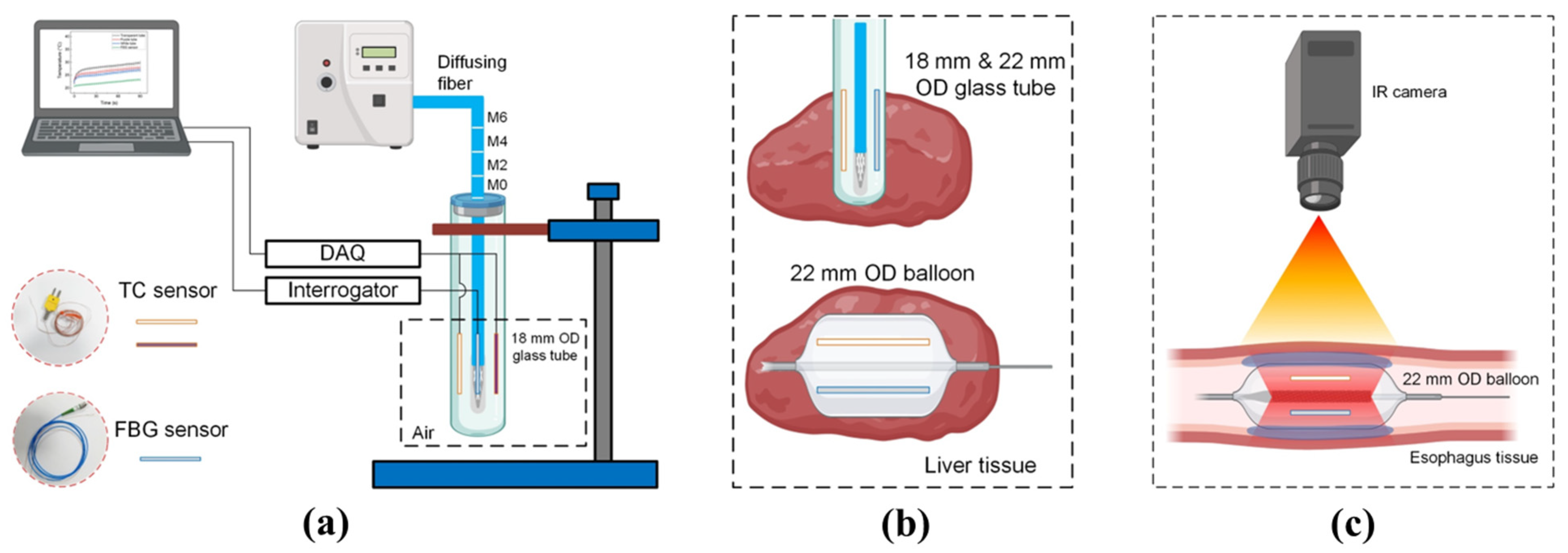 Sensors 23 06069 g002