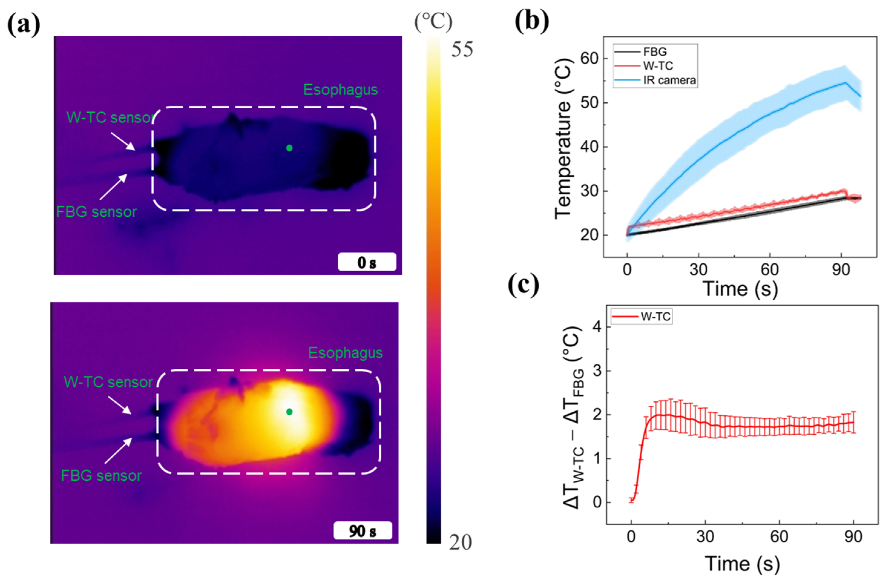 Sensors 23 06069 g006