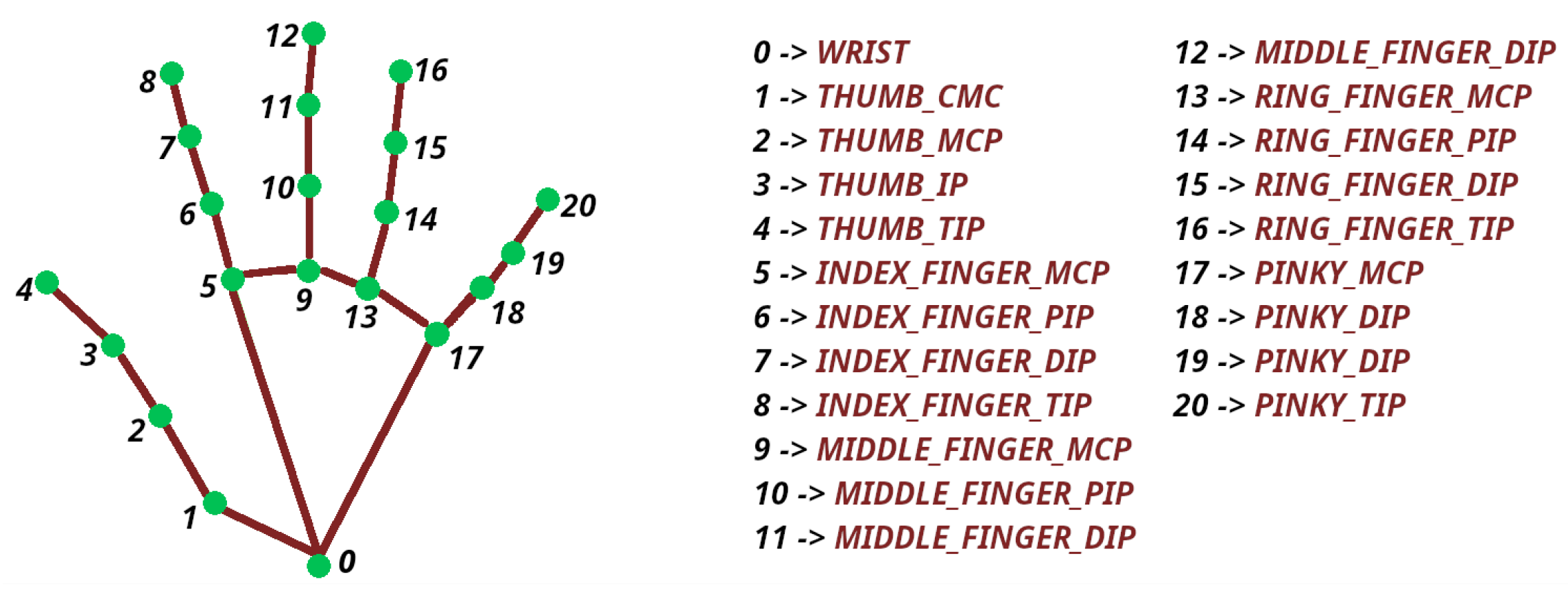Hand Function Tests