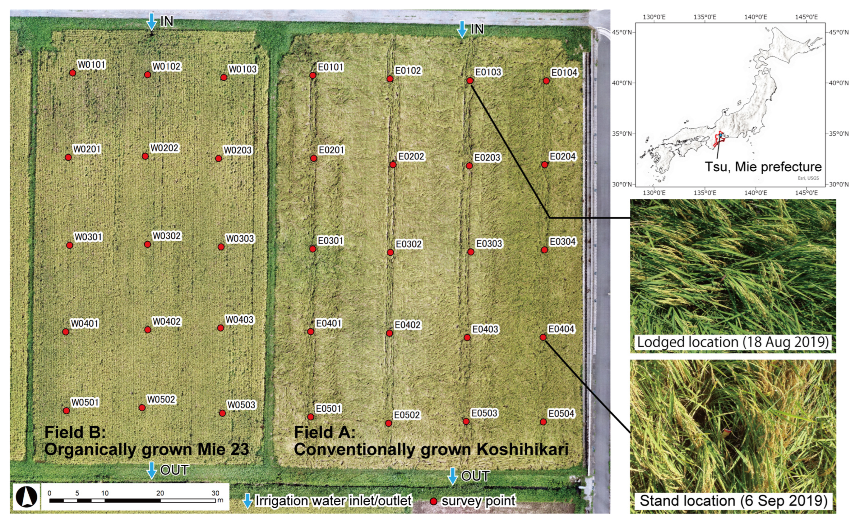 Sensors 23 06466 g001 Sensors 23 06466 g001