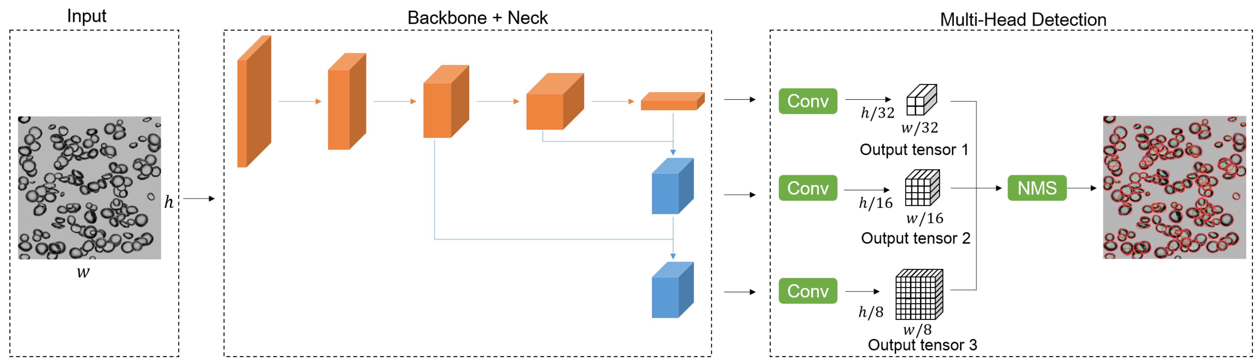 Sensors 23 06582 g002