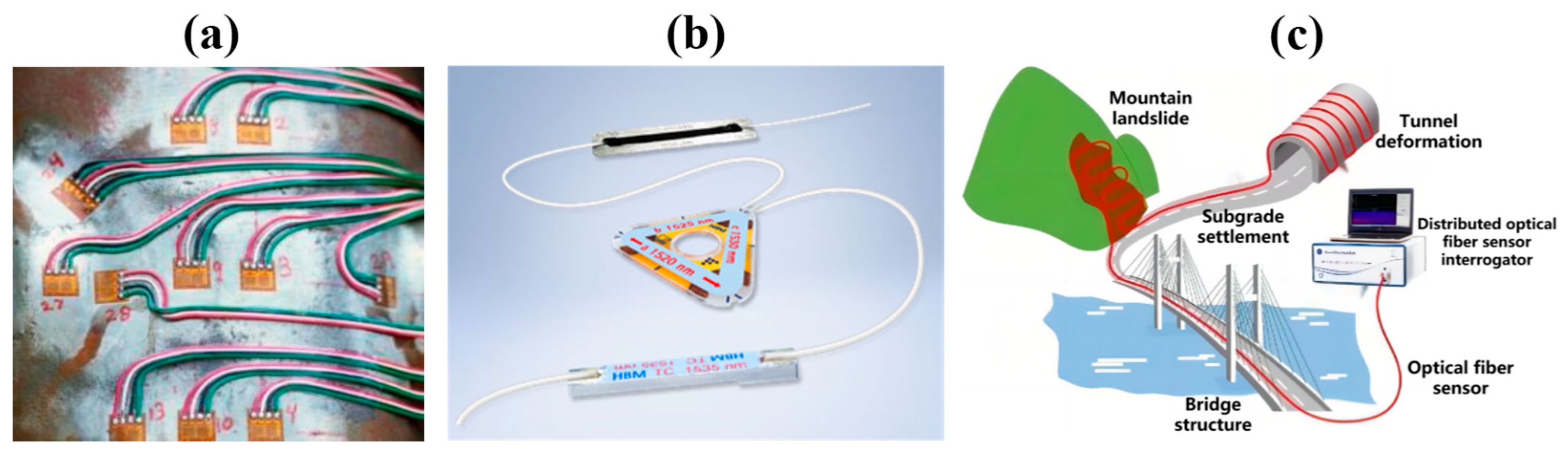 Sensors 23 06734 g001