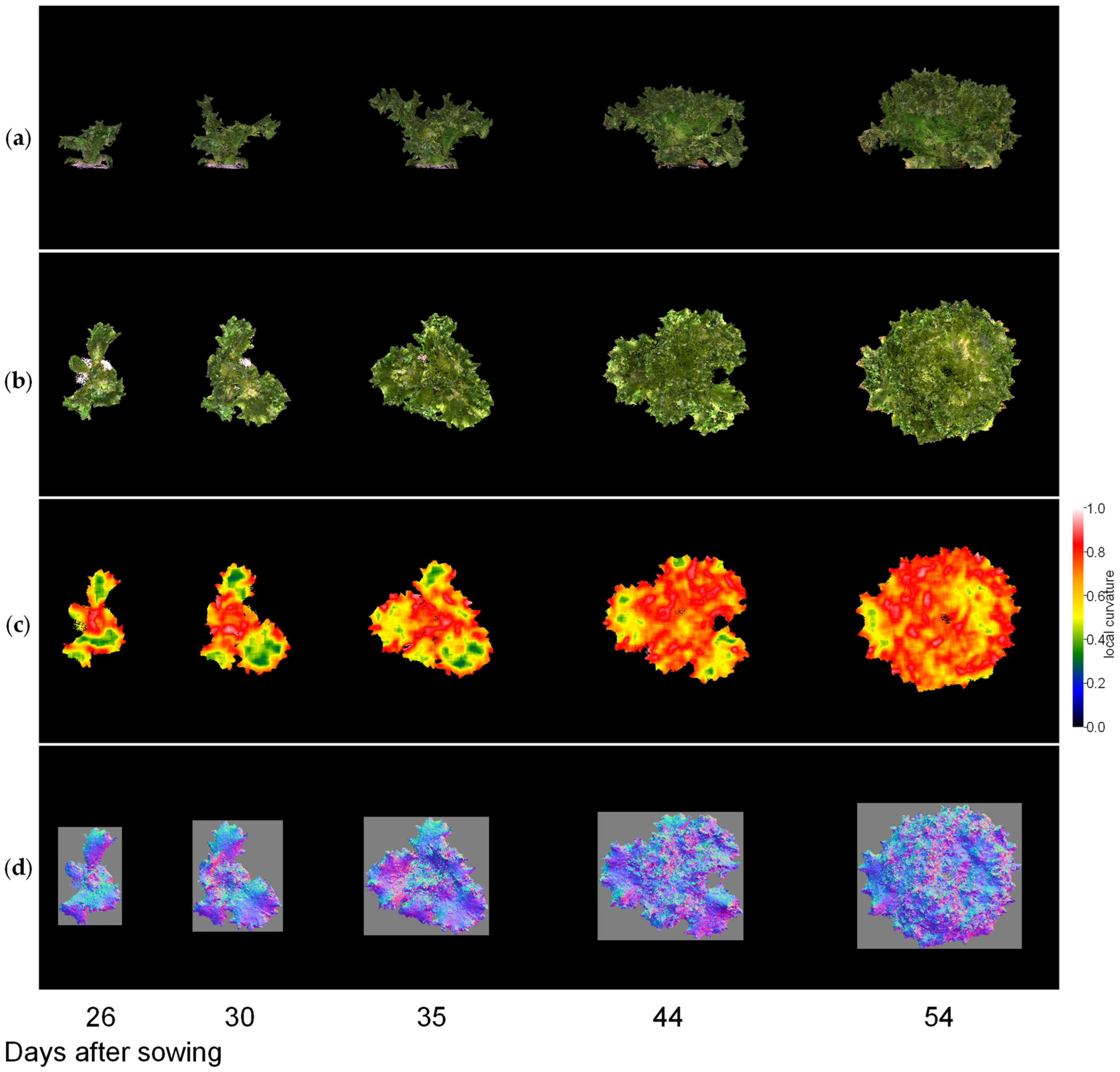 Sensors 23 06825 g010 Sensors 23 06825 g010